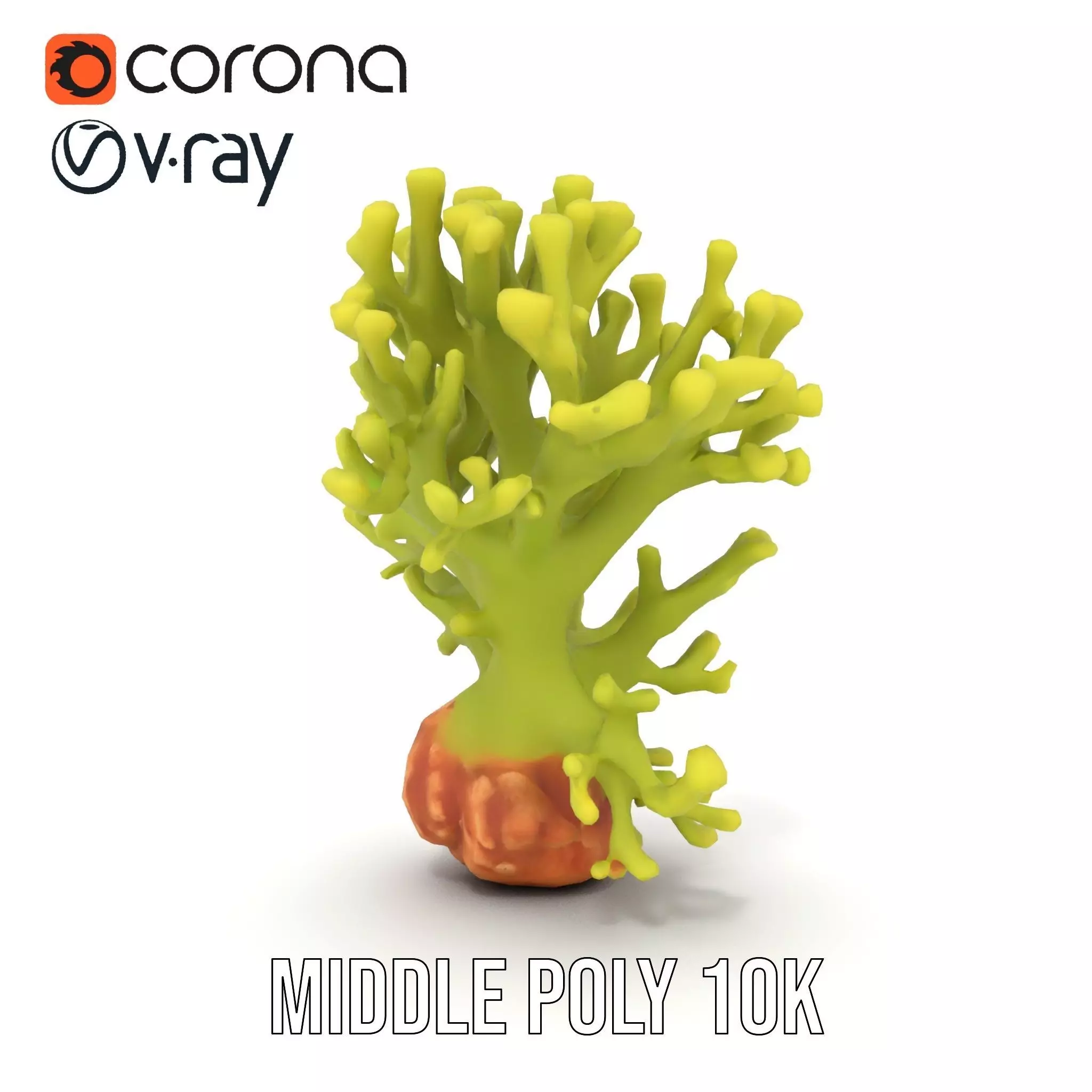 Vibrant Green Coral model pack Low-poly 3D model_16
