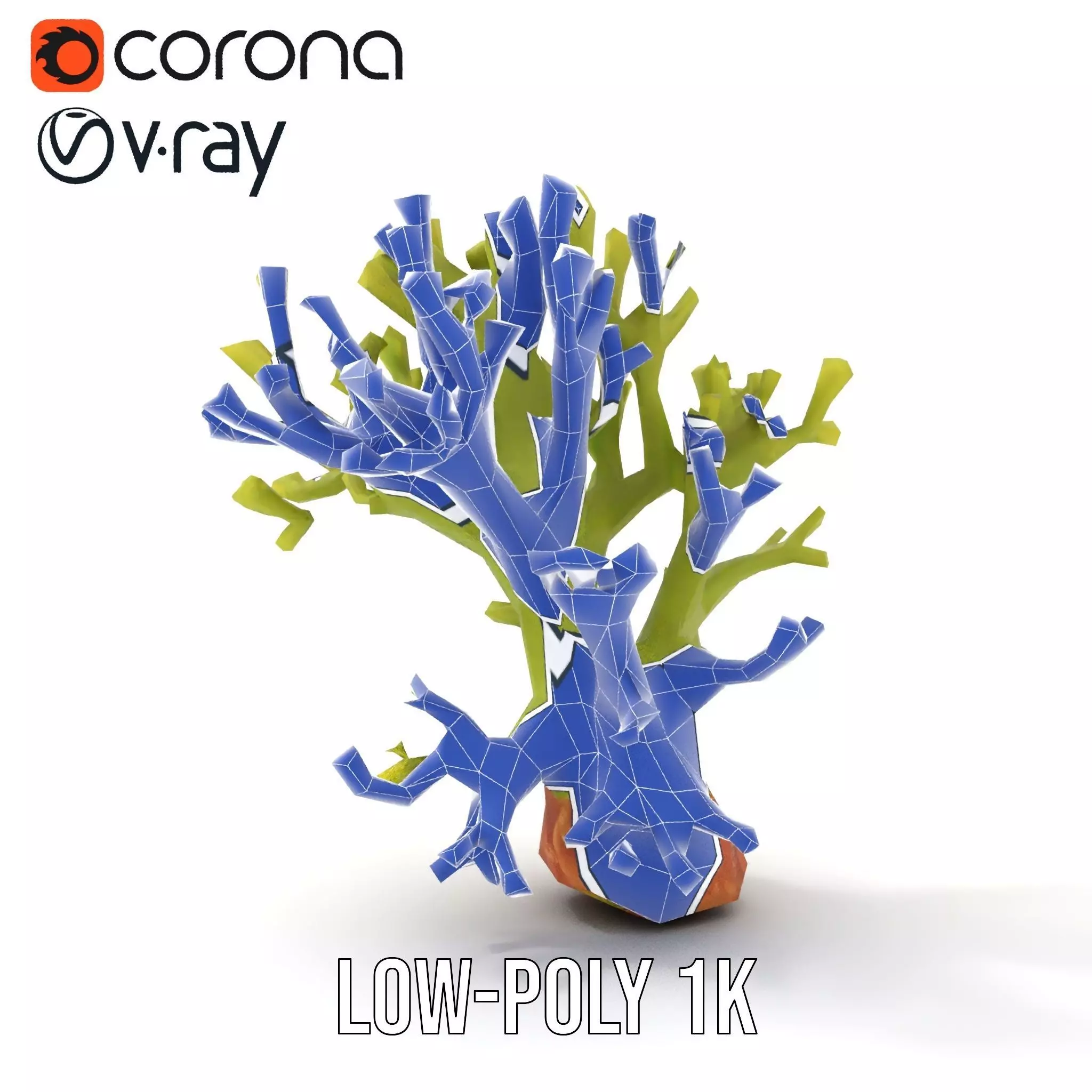Vibrant Green Coral model pack Low-poly 3D model_19