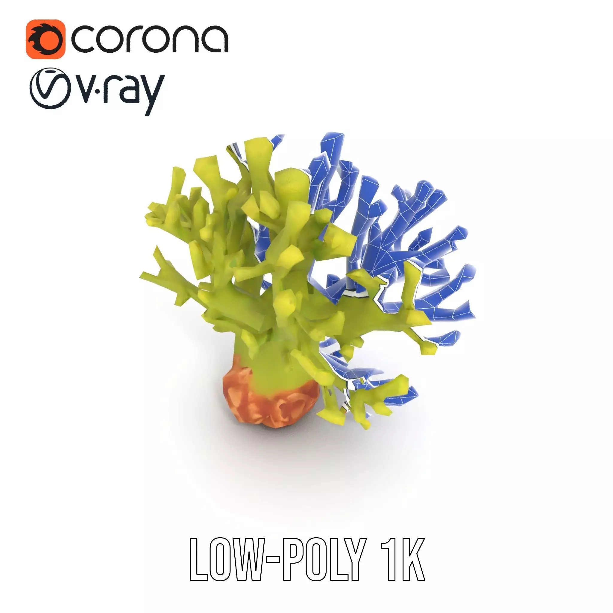 Vibrant Green Coral model pack Low-poly 3D model_30