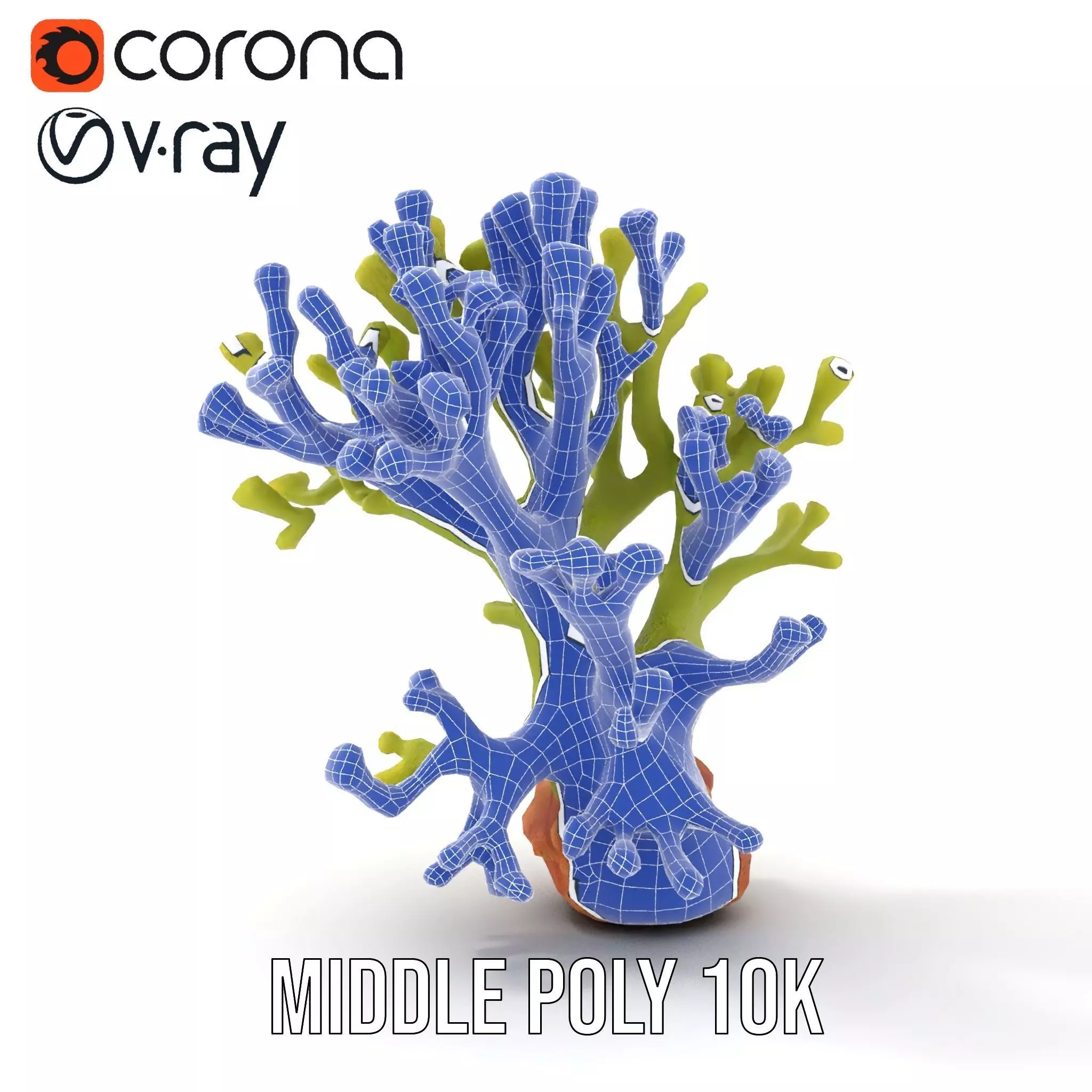 Vibrant Green Coral model pack Low-poly 3D model_13