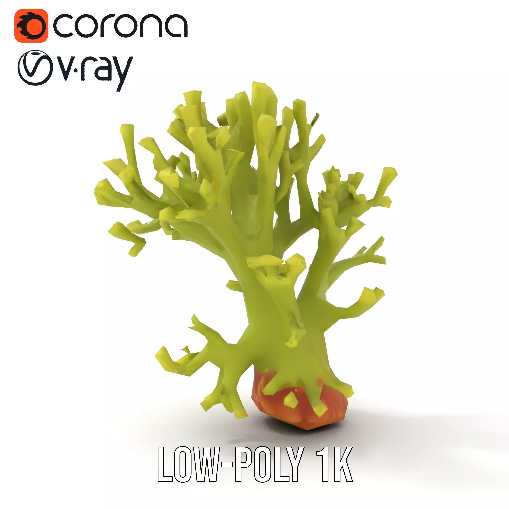 Vibrant Green Coral model pack Low-poly 3D model_25
