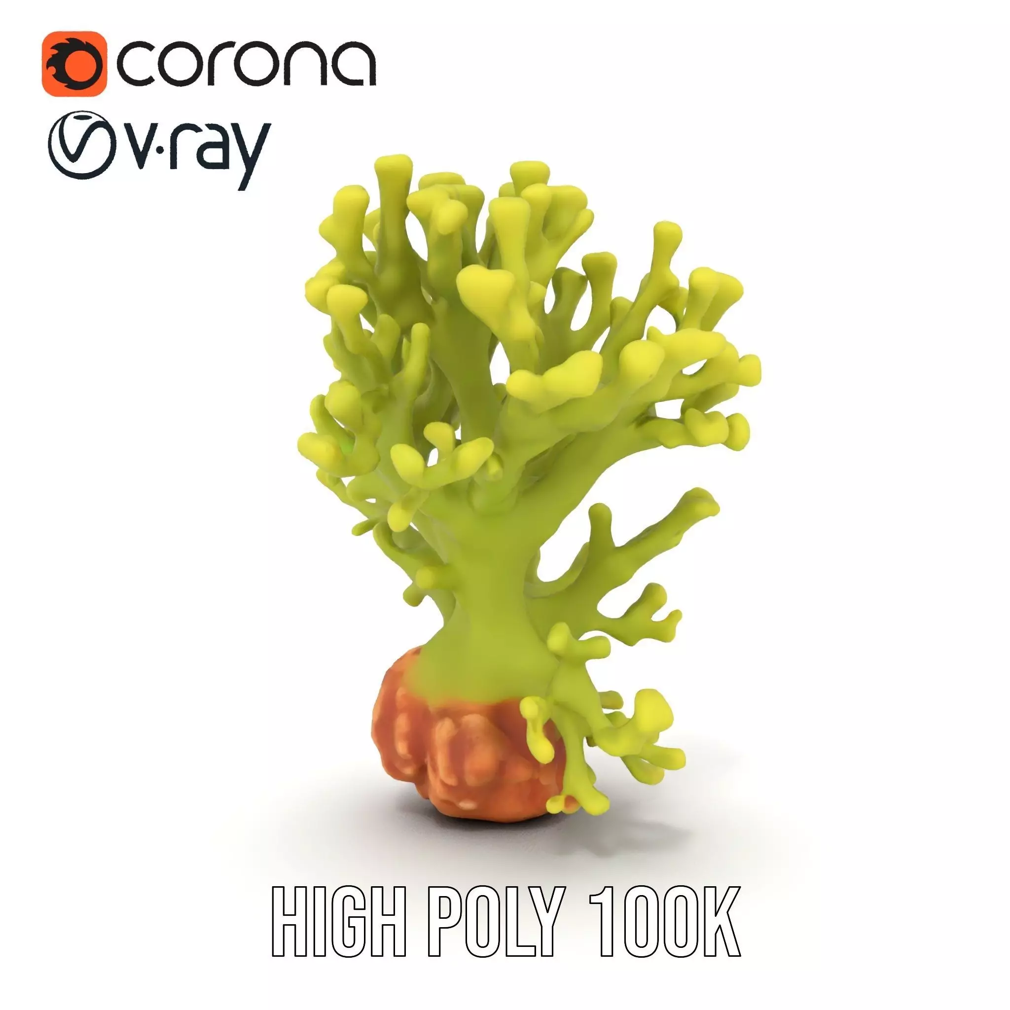 Vibrant Green Coral model pack Low-poly 3D model_23