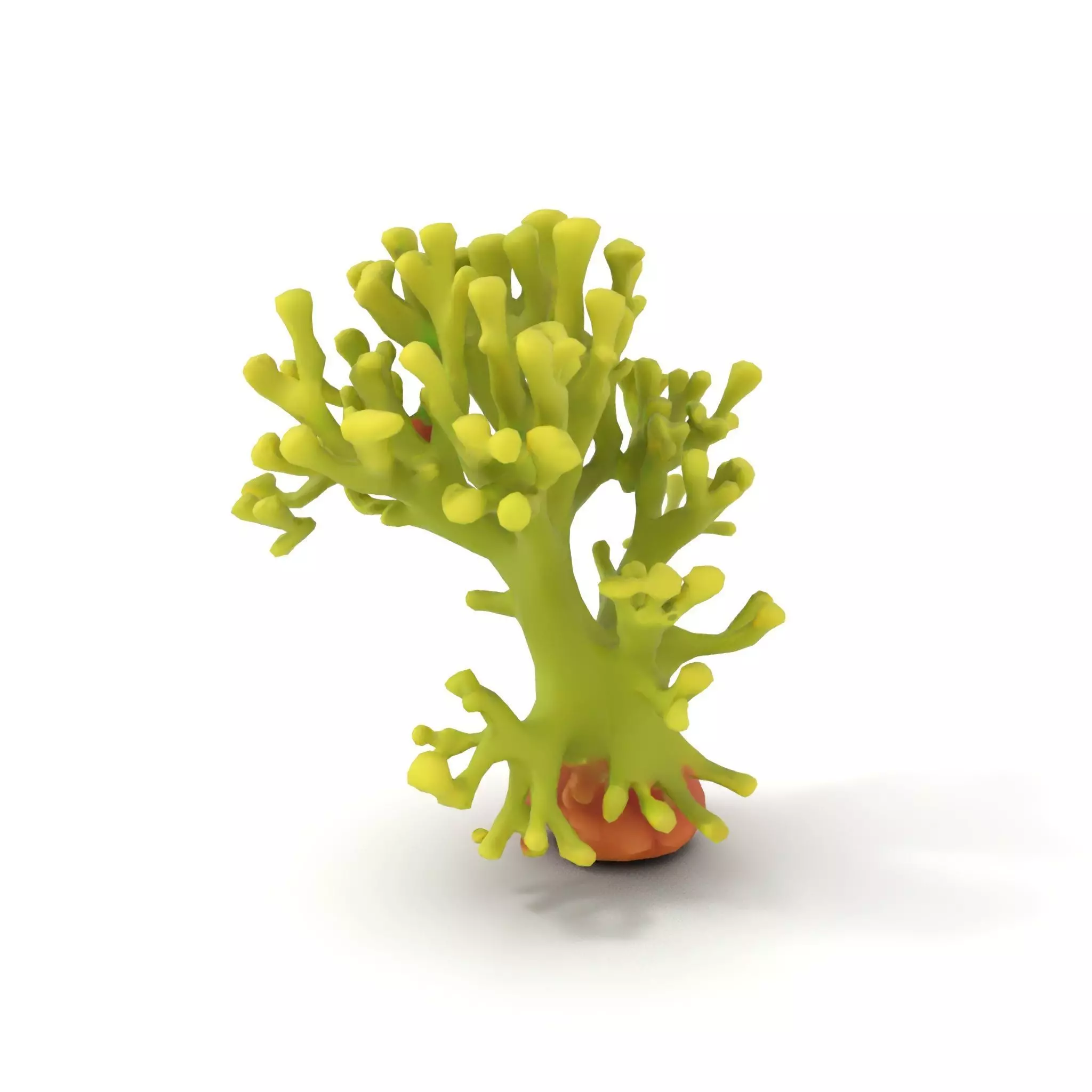 Vibrant Green Coral model pack Low-poly 3D model_6