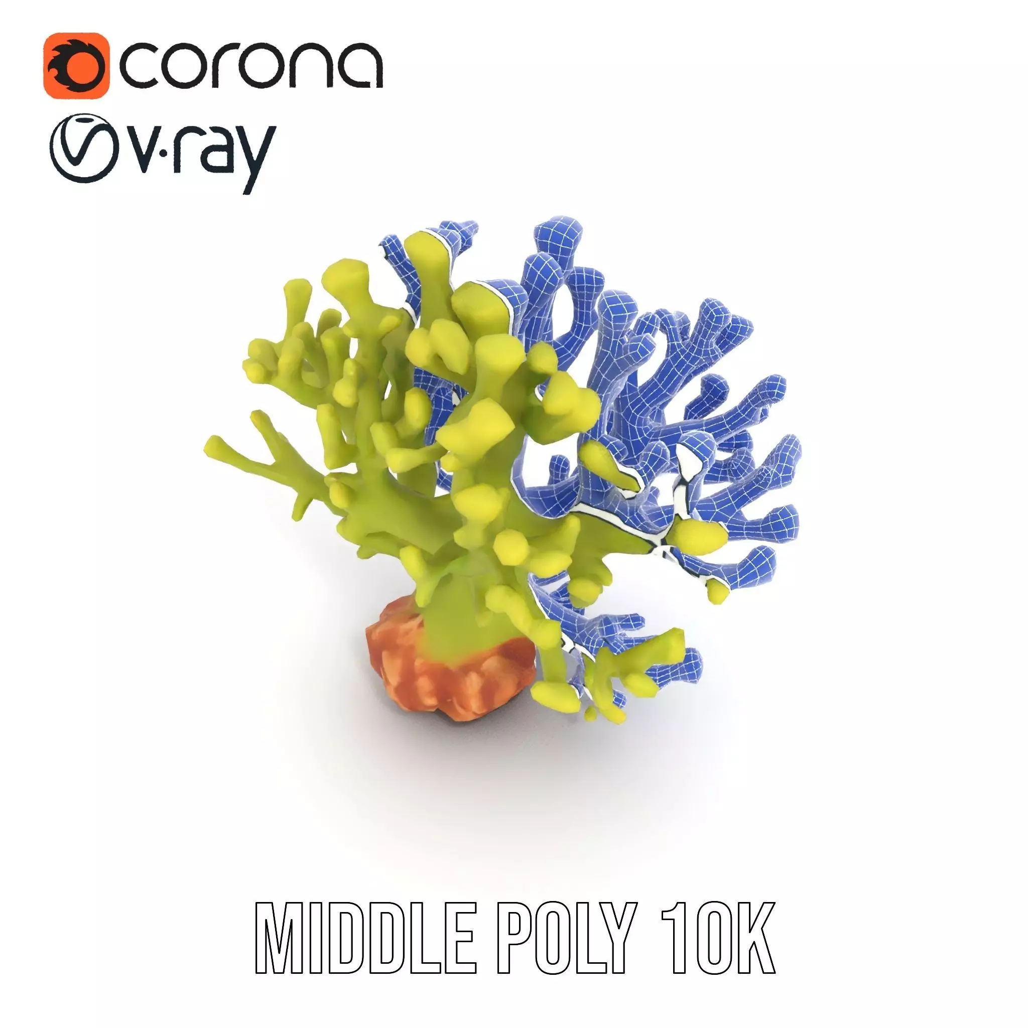 Vibrant Green Coral model pack Low-poly 3D model_18
