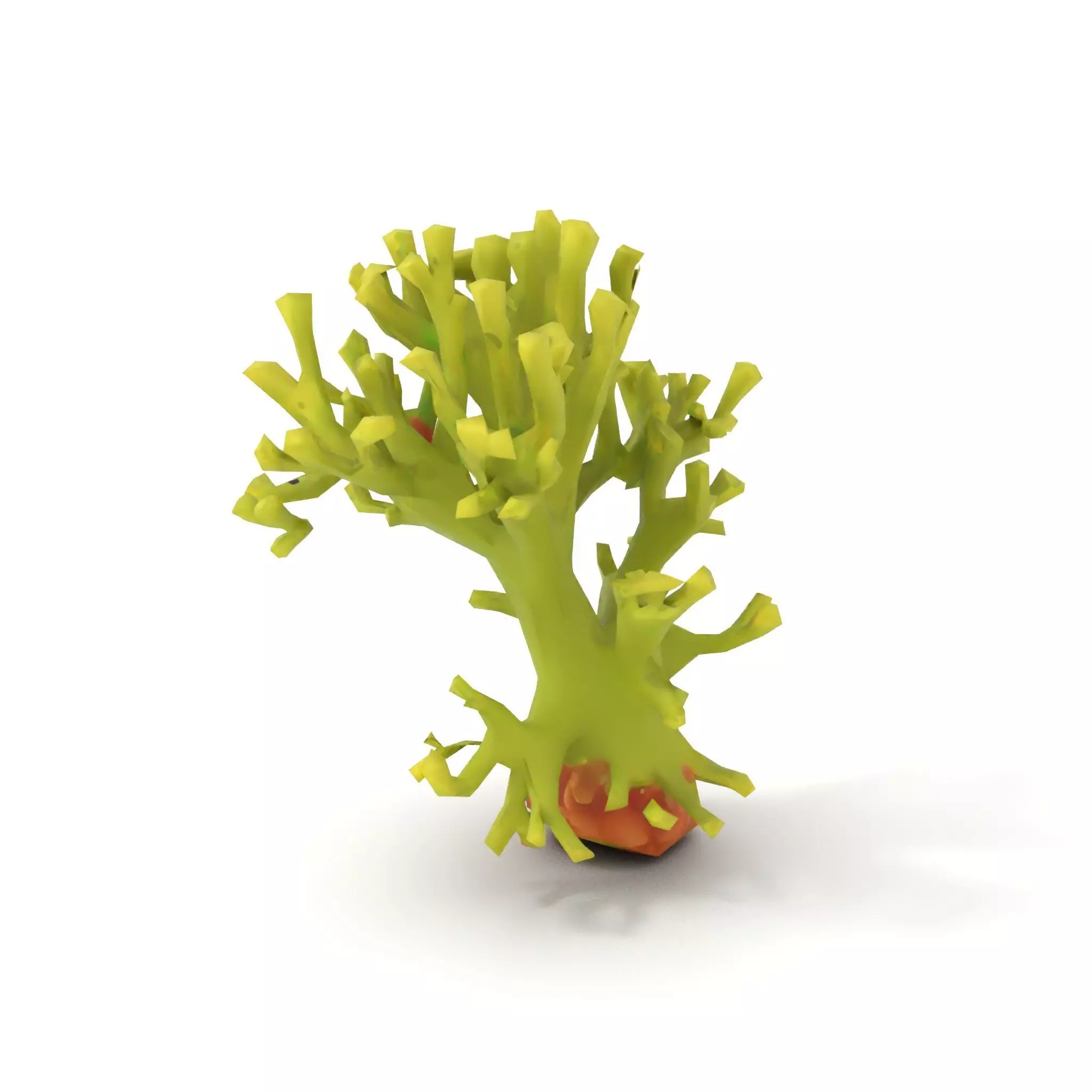 Vibrant Green Coral model pack Low-poly 3D model_9