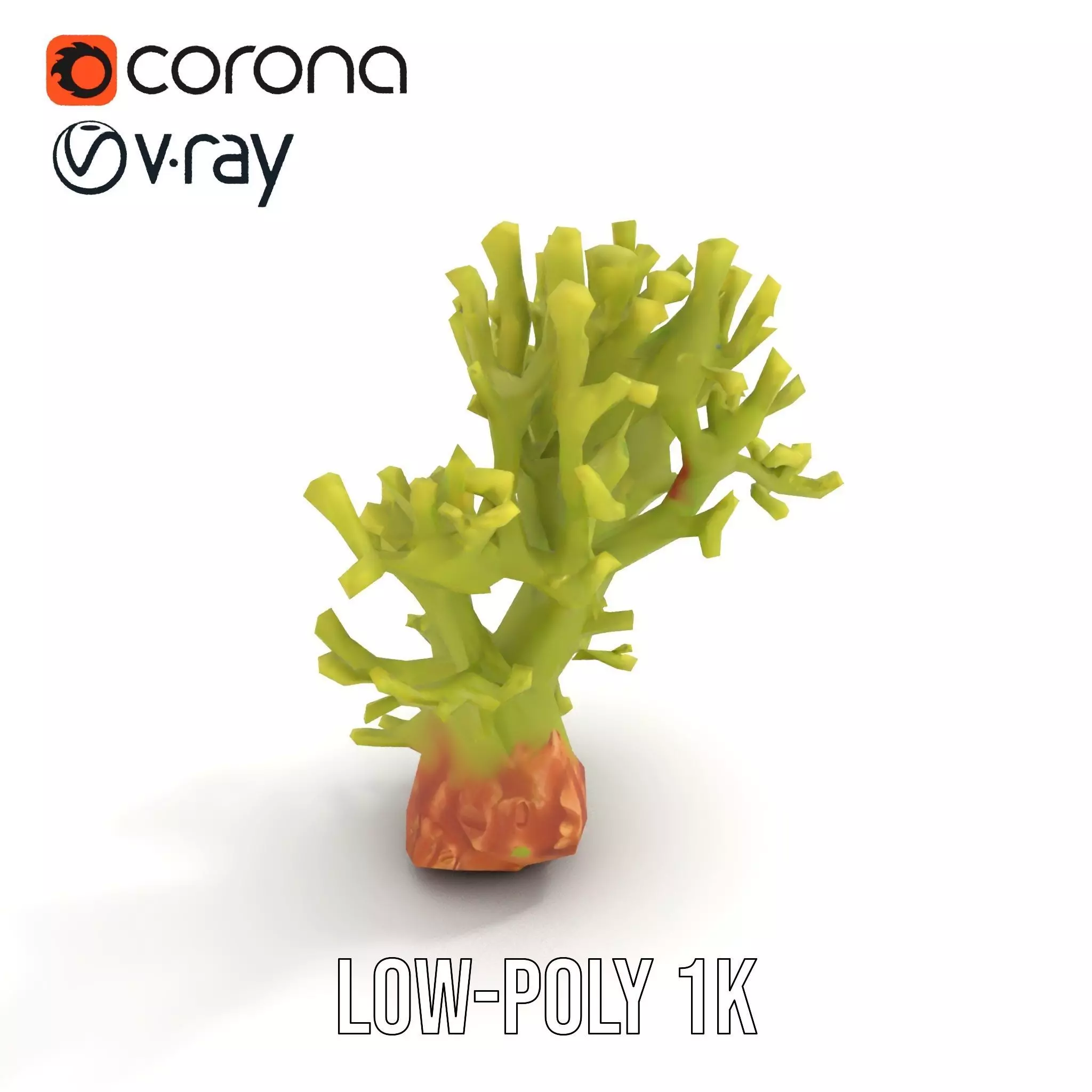 Vibrant Green Coral model pack Low-poly 3D model_12