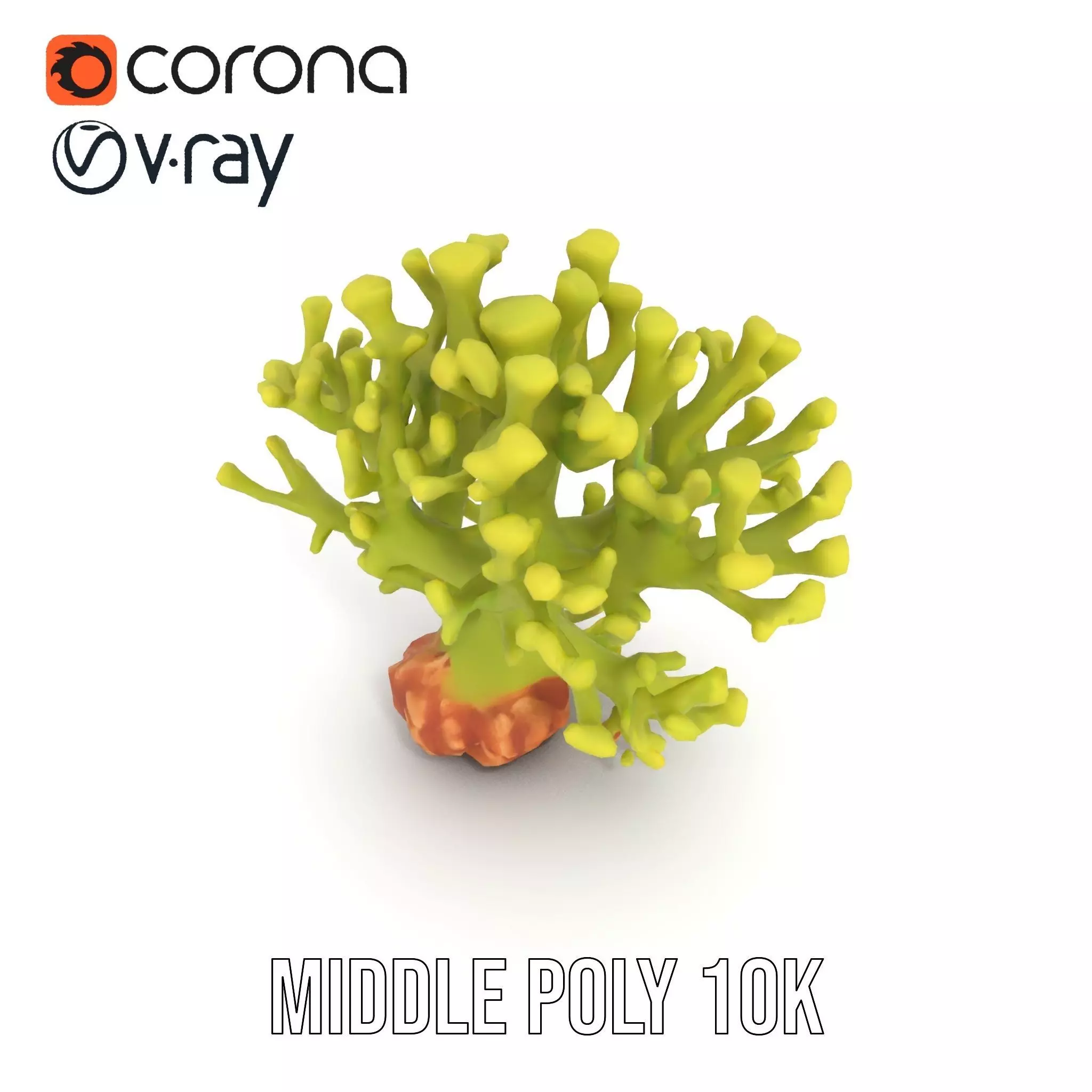 Vibrant Green Coral model pack Low-poly 3D model_11