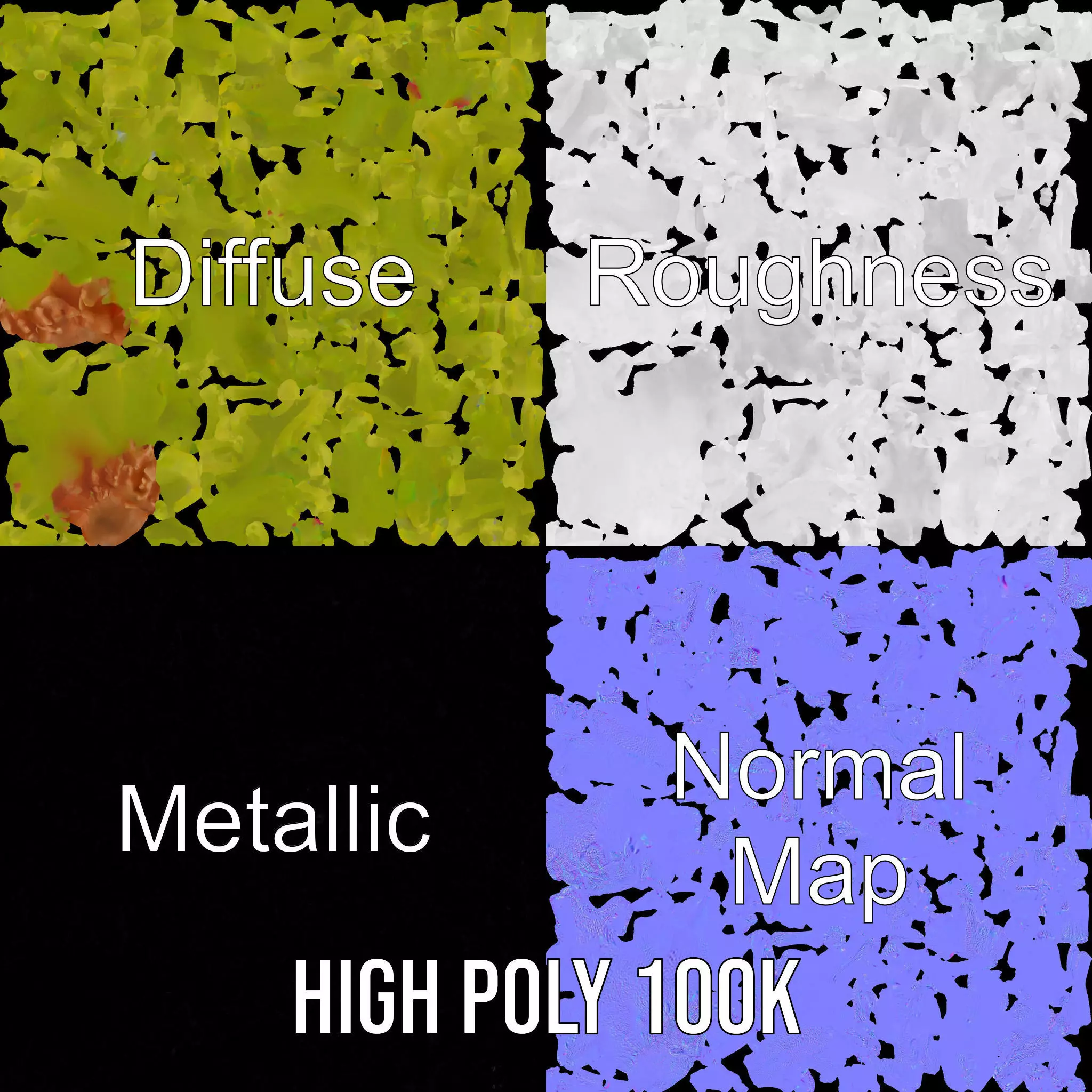 Vibrant Green Coral model pack Low-poly 3D model_3