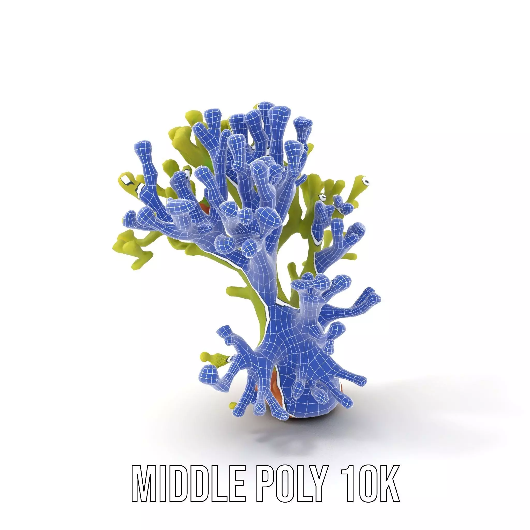 Vibrant Green Coral model pack Low-poly 3D model_24