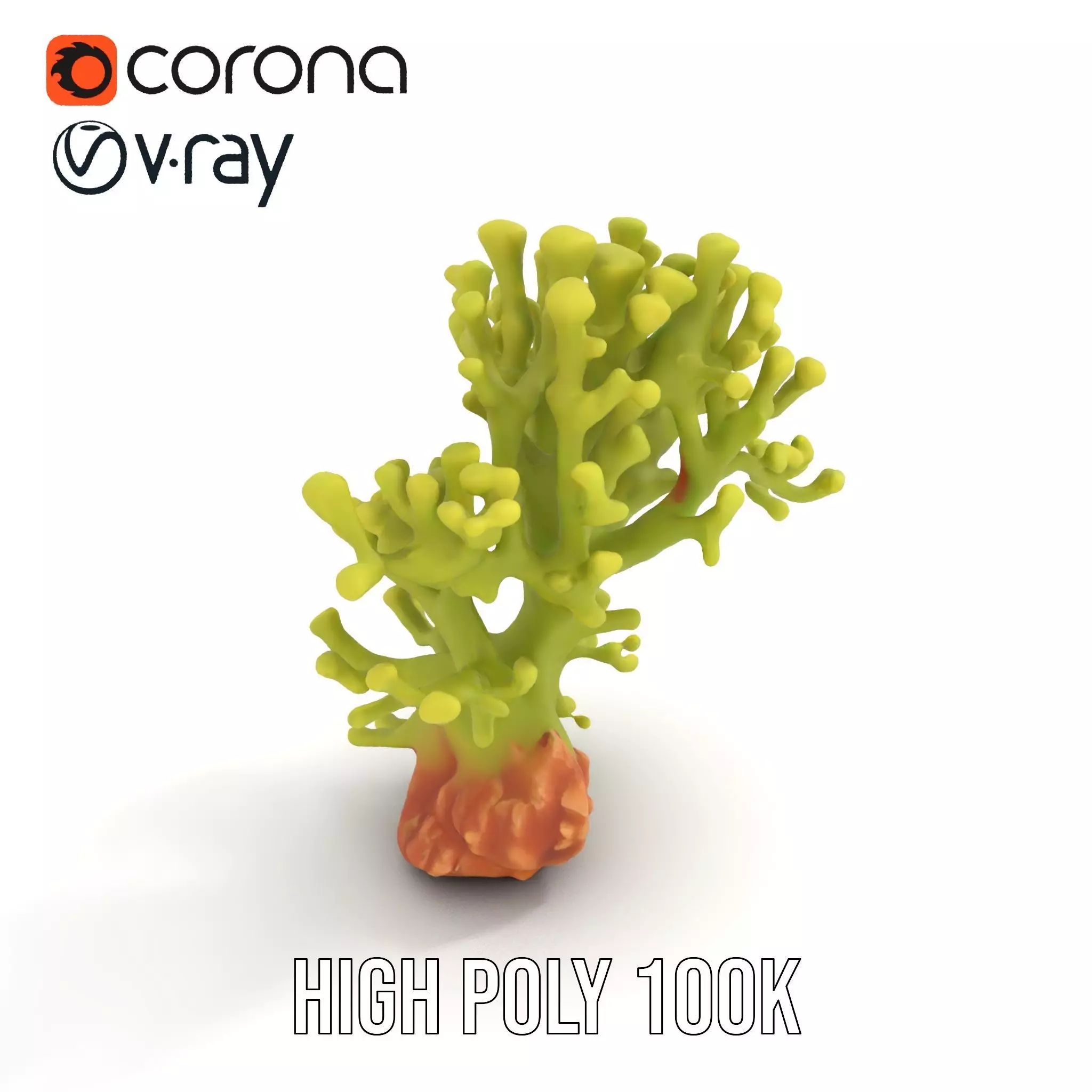 Vibrant Green Coral model pack Low-poly 3D model_15