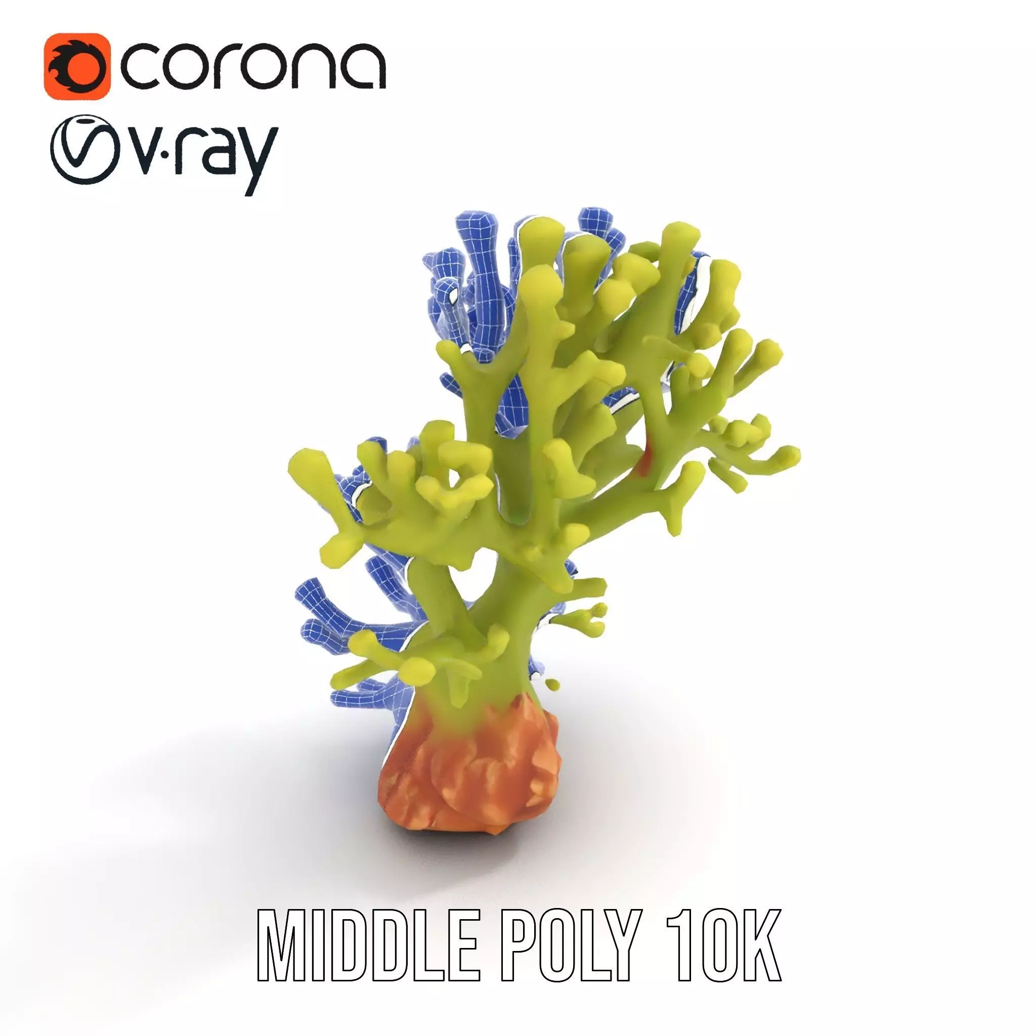 Vibrant Green Coral model pack Low-poly 3D model_21