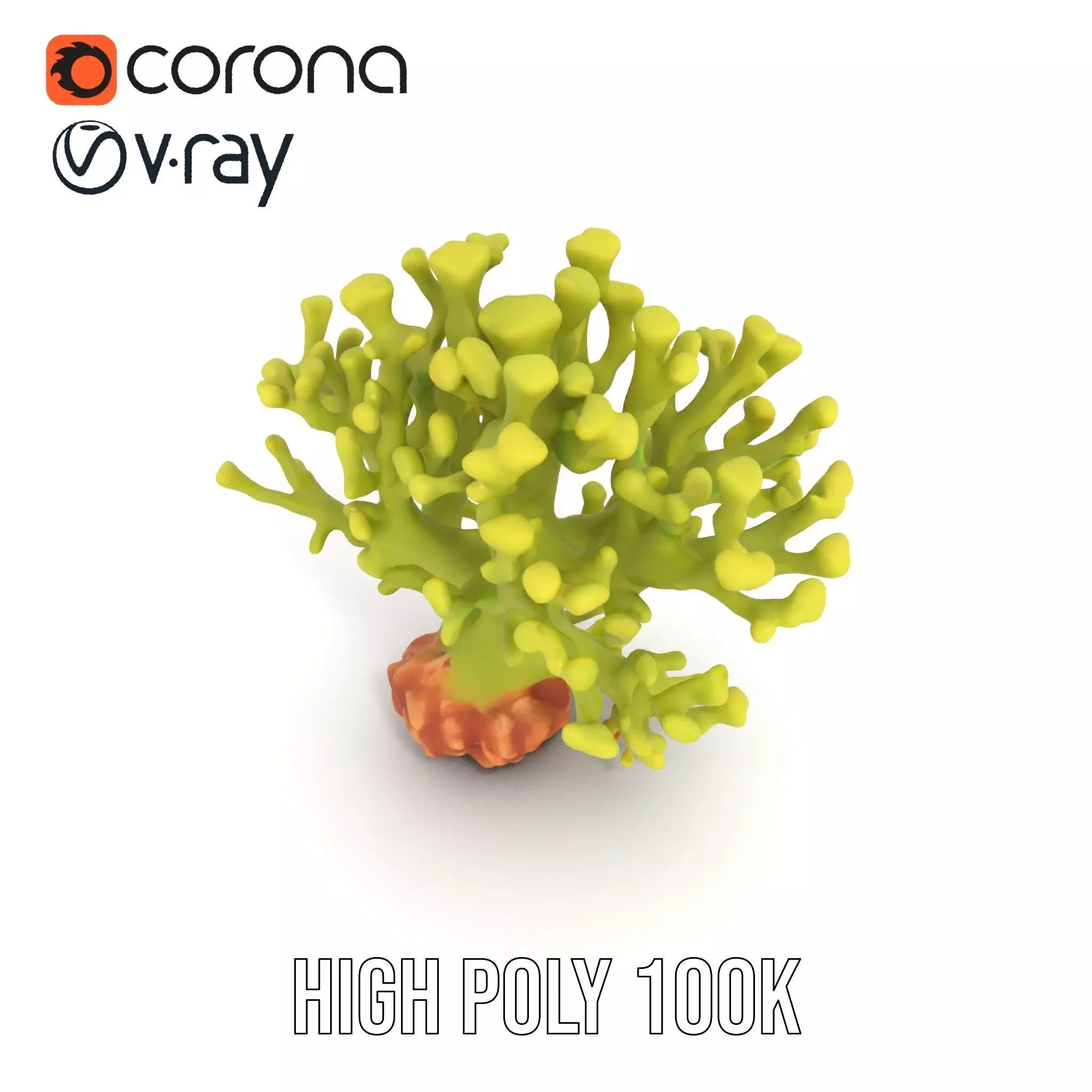 Vibrant Green Coral model pack Low-poly 3D model_31