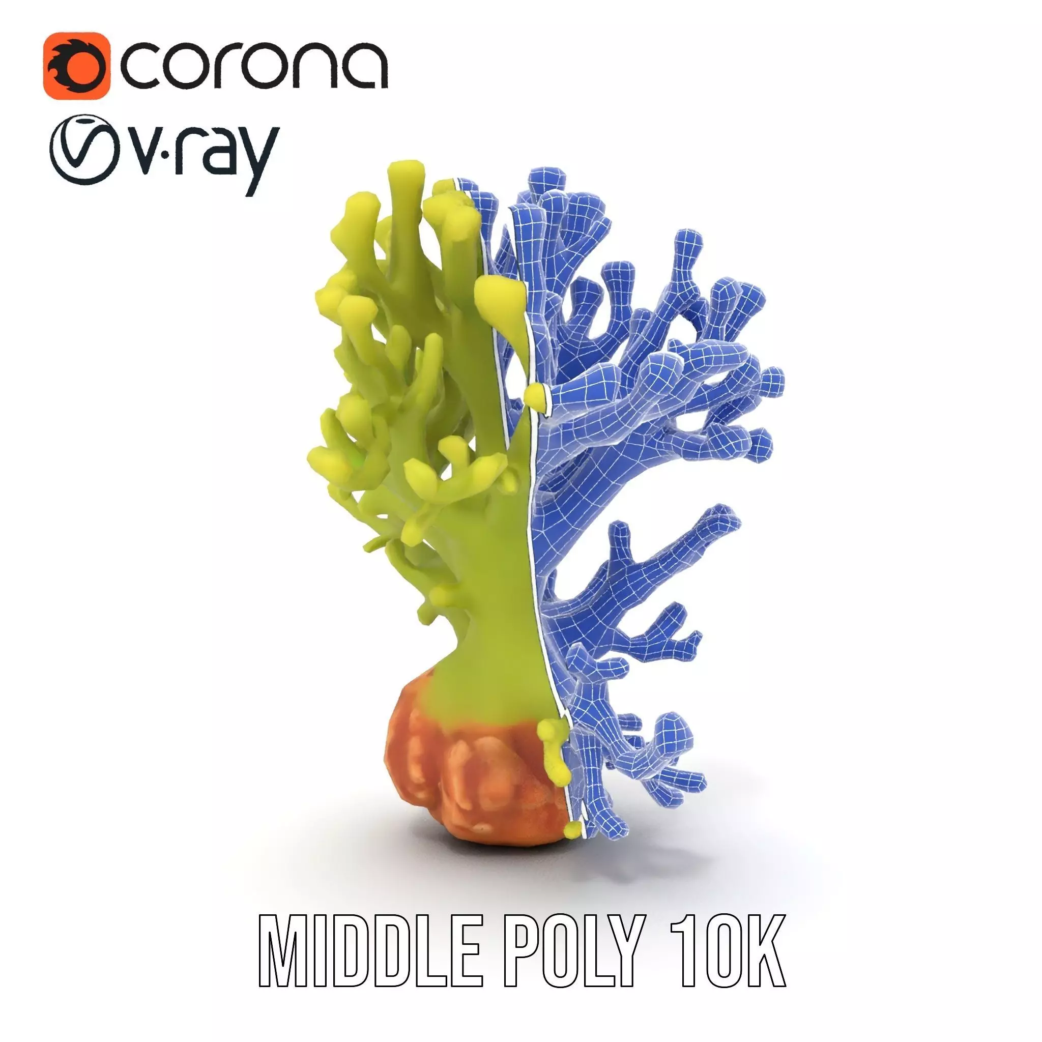 Vibrant Green Coral model pack Low-poly 3D model_27
