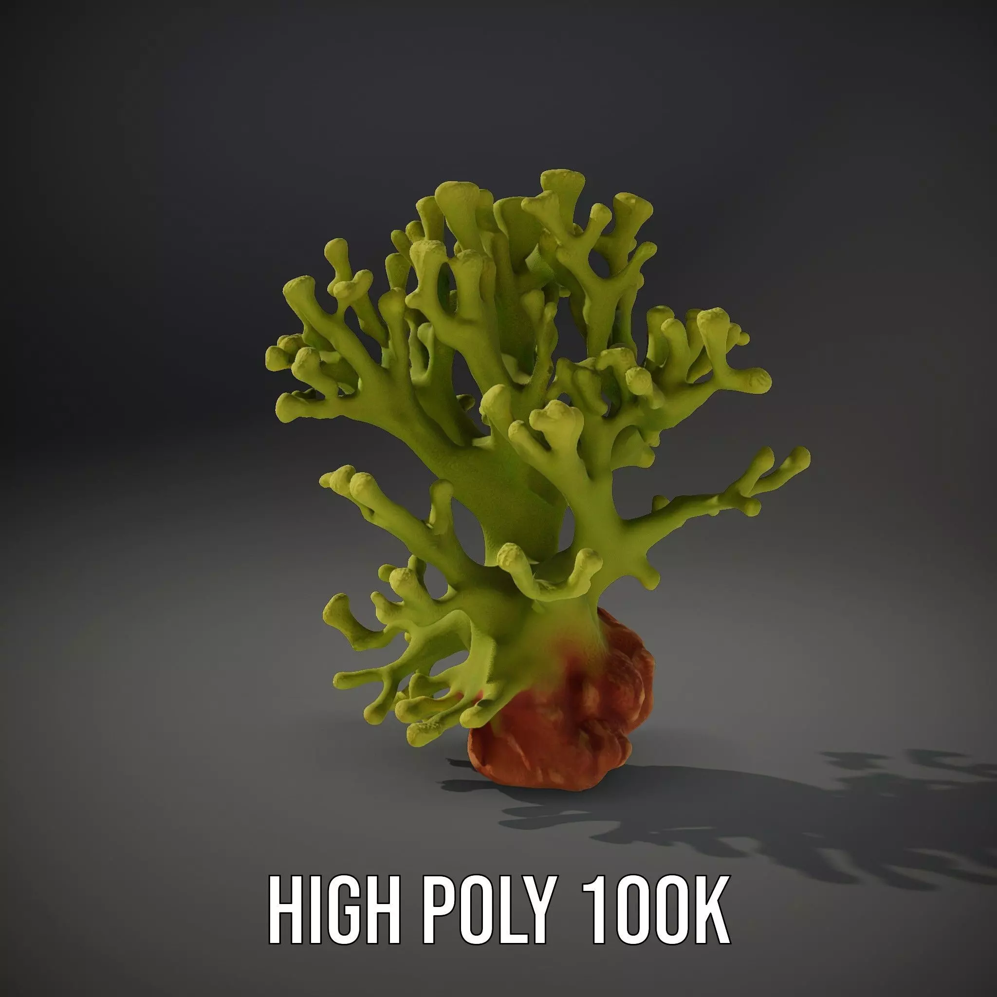 Vibrant Green Coral model pack Low-poly 3D model_8