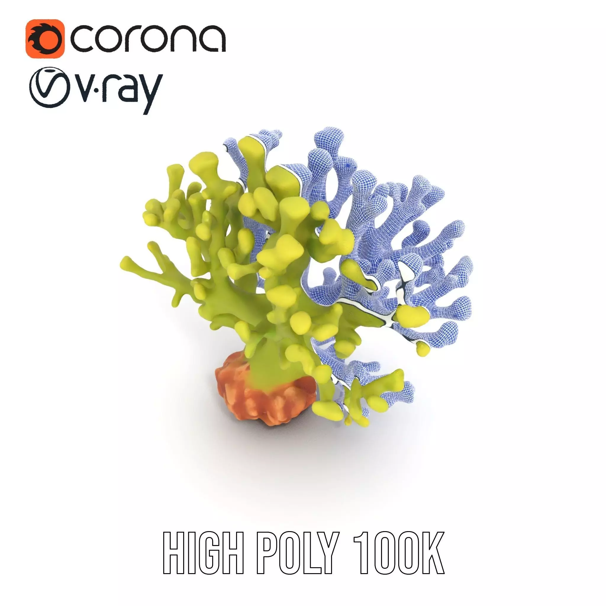 Vibrant Green Coral model pack Low-poly 3D model_32