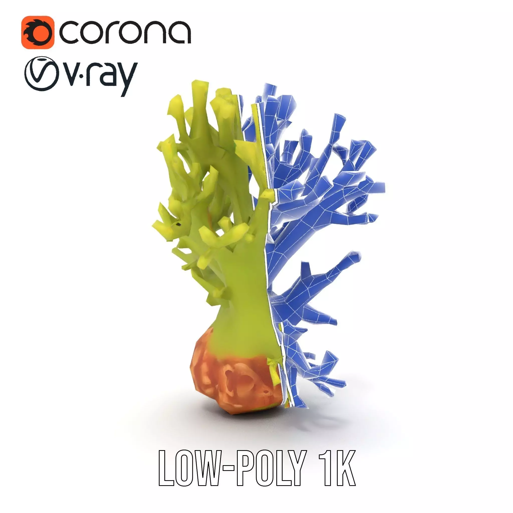 Vibrant Green Coral model pack Low-poly 3D model_28