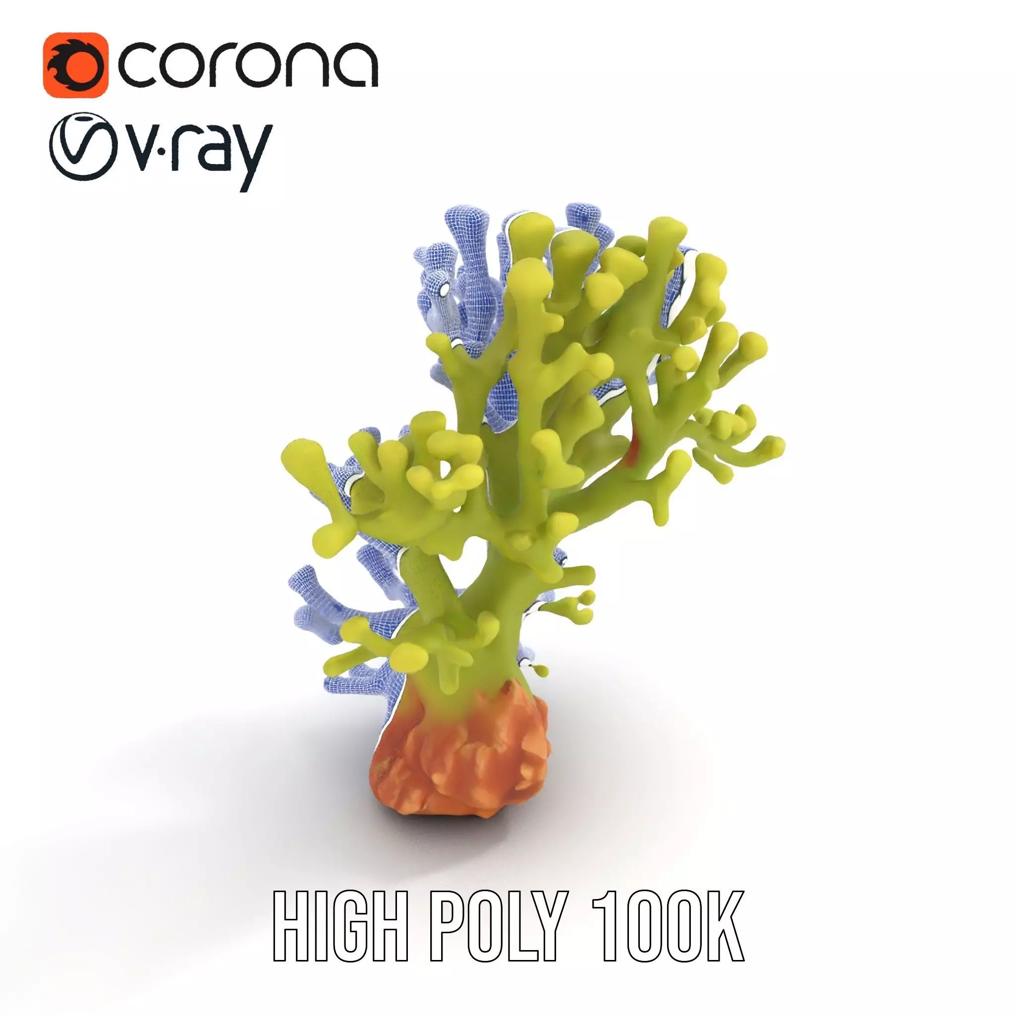 Vibrant Green Coral model pack Low-poly 3D model_26