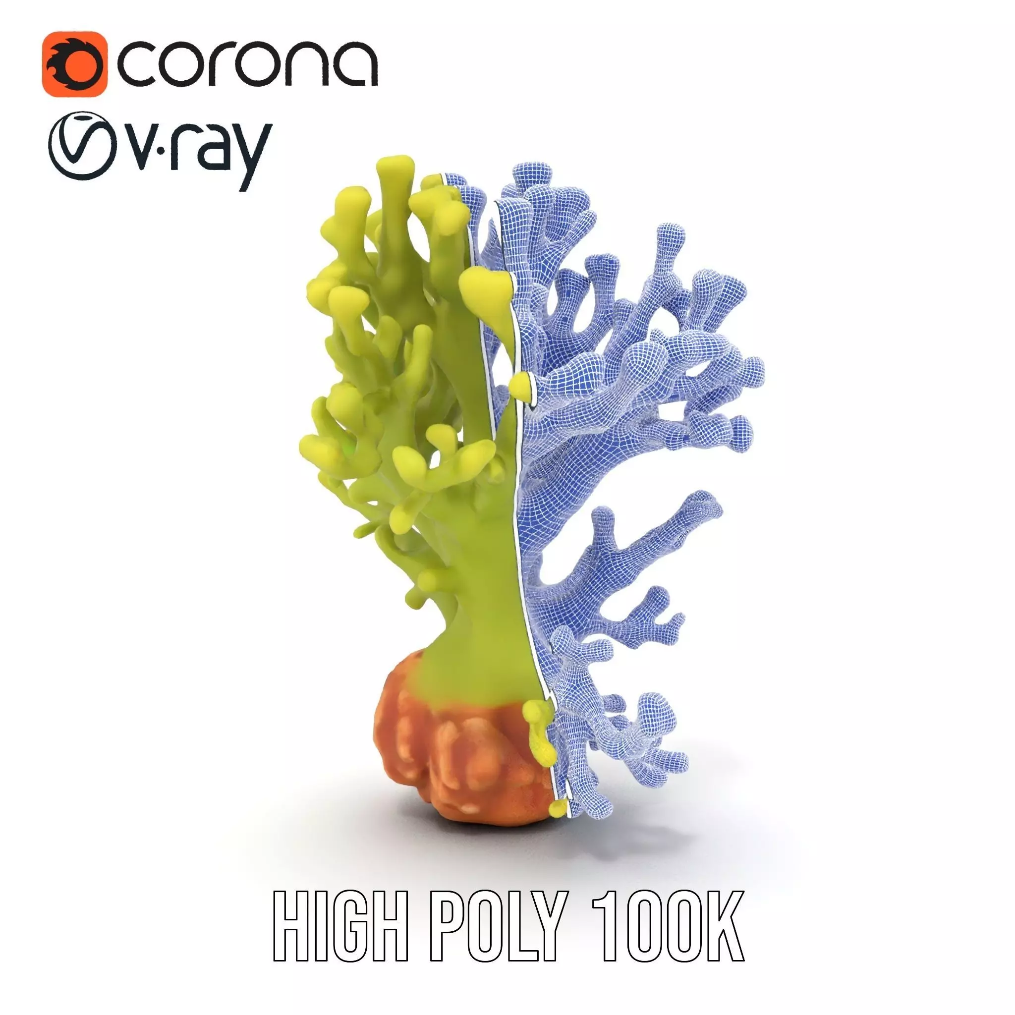 Vibrant Green Coral model pack Low-poly 3D model_34