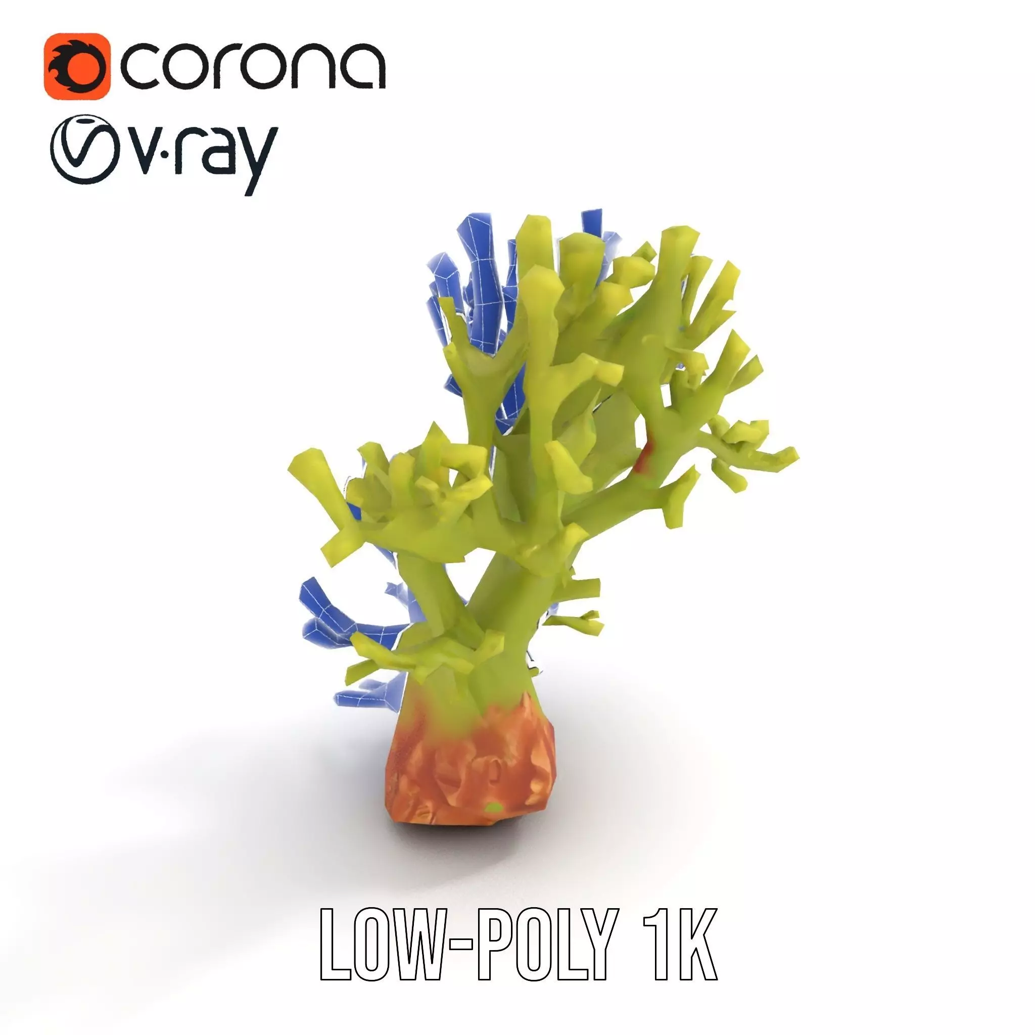Vibrant Green Coral model pack Low-poly 3D model_17