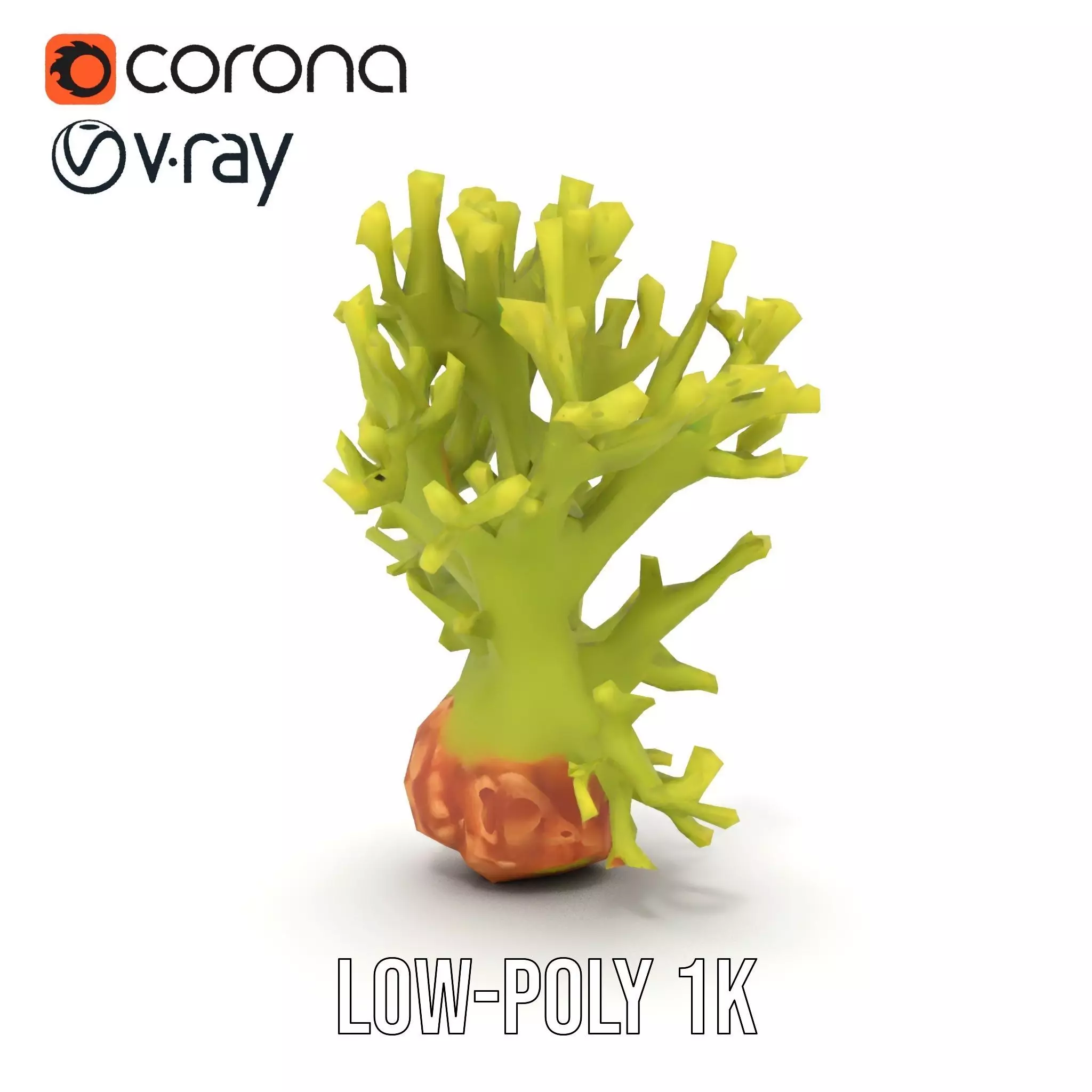 Vibrant Green Coral model pack Low-poly 3D model_7