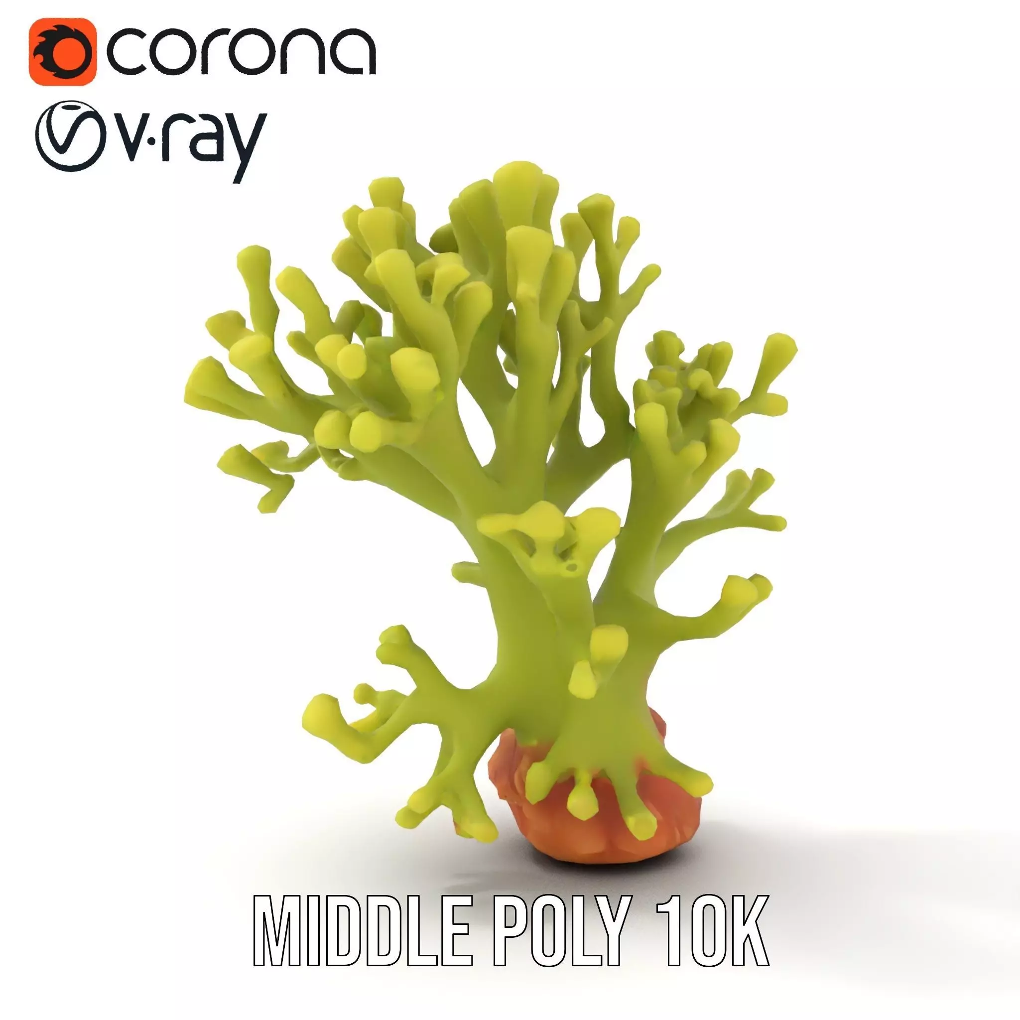 Vibrant Green Coral model pack Low-poly 3D model_29