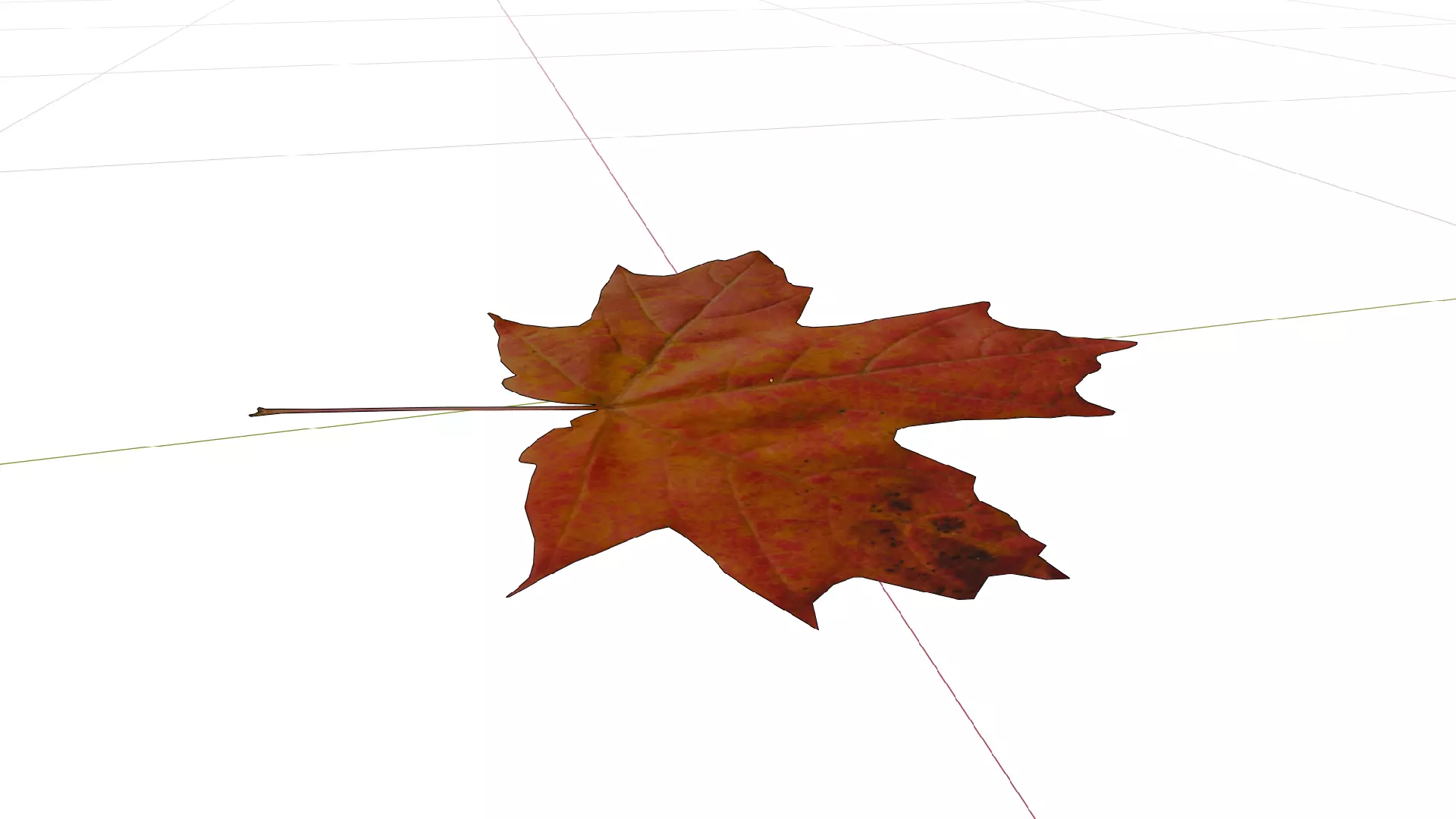 Autumn Leaf 3D Model Free low-poly 3D model_5