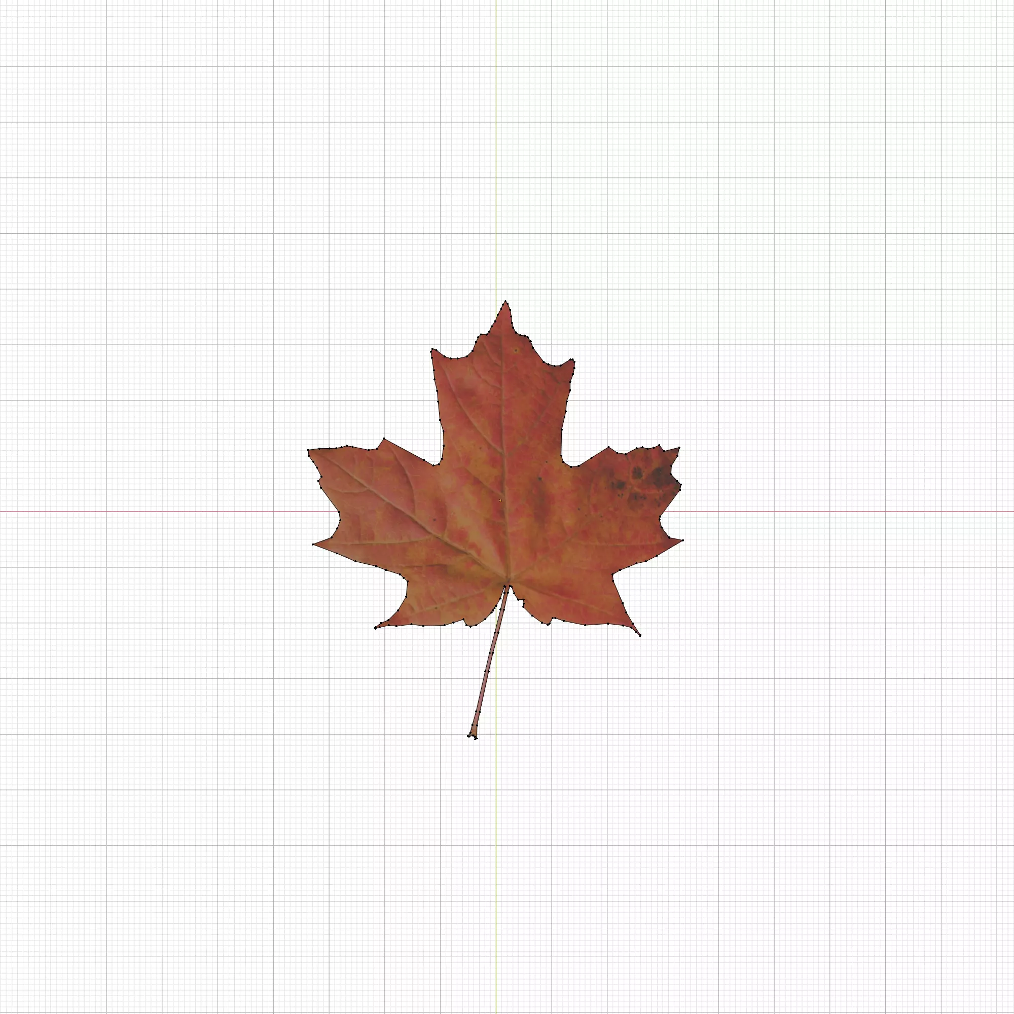 Autumn Leaf 3D Model Free low-poly 3D model_7
