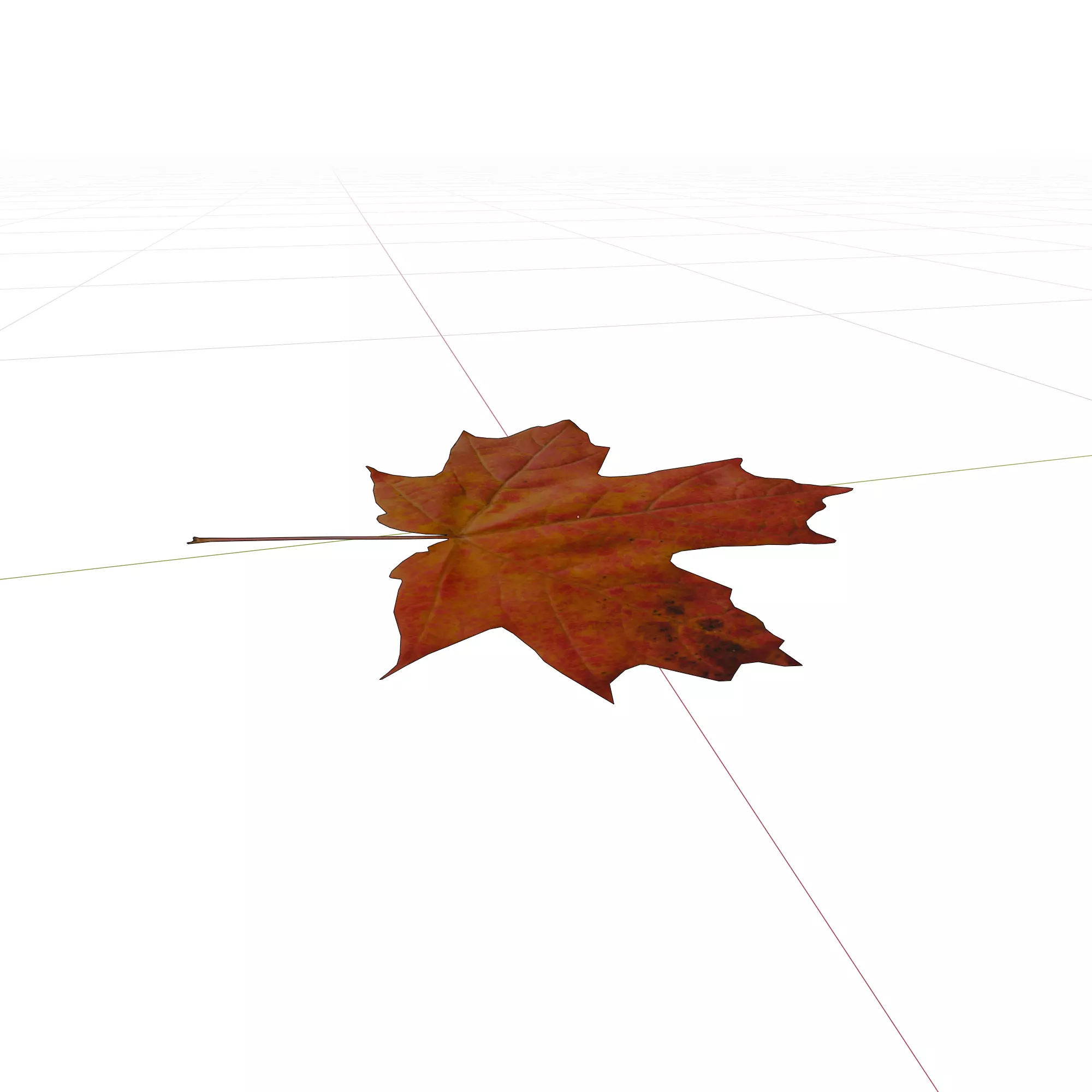 Autumn Leaf 3D Model Free low-poly 3D model_6