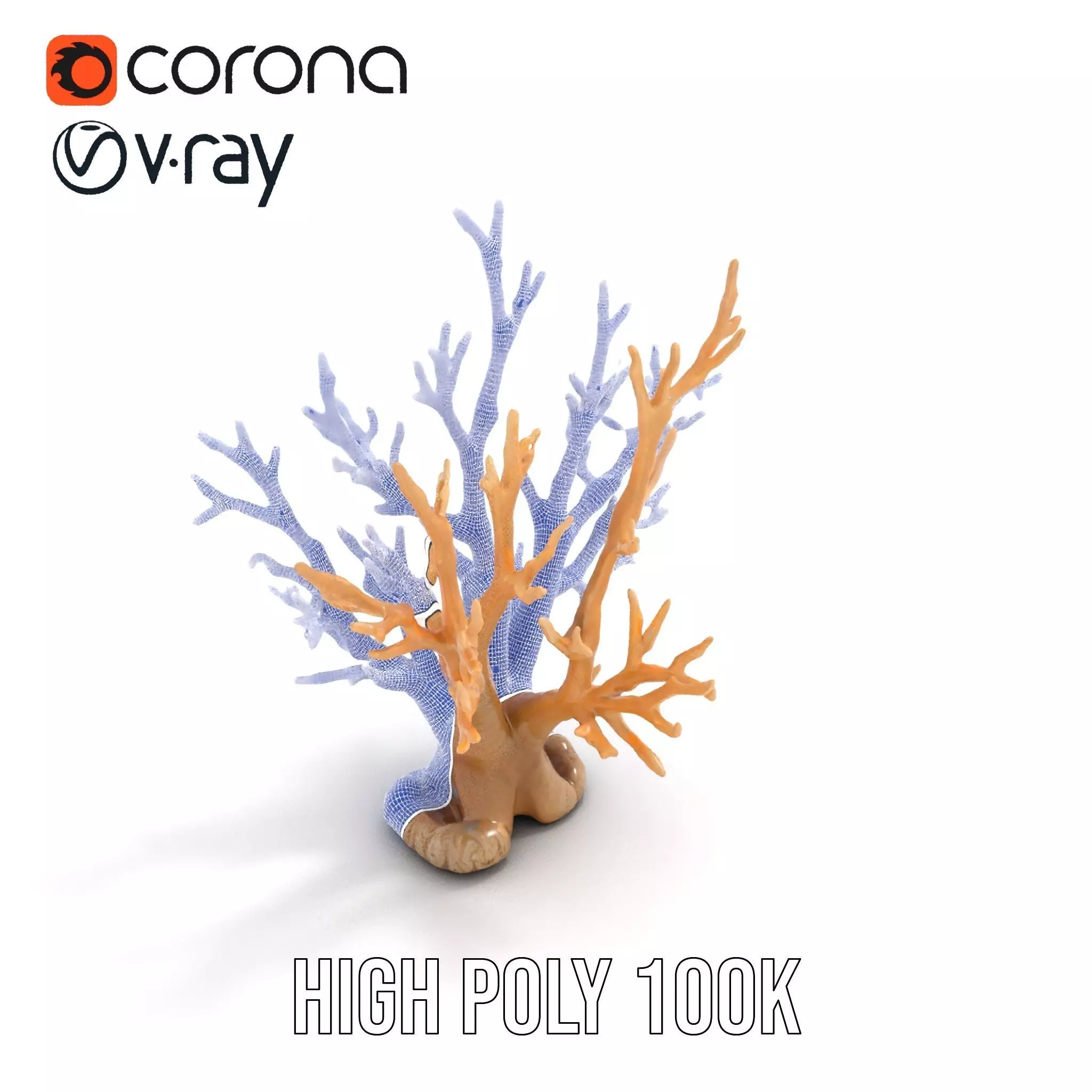 Natural Coral Branch model pack Low-poly 3D model_32