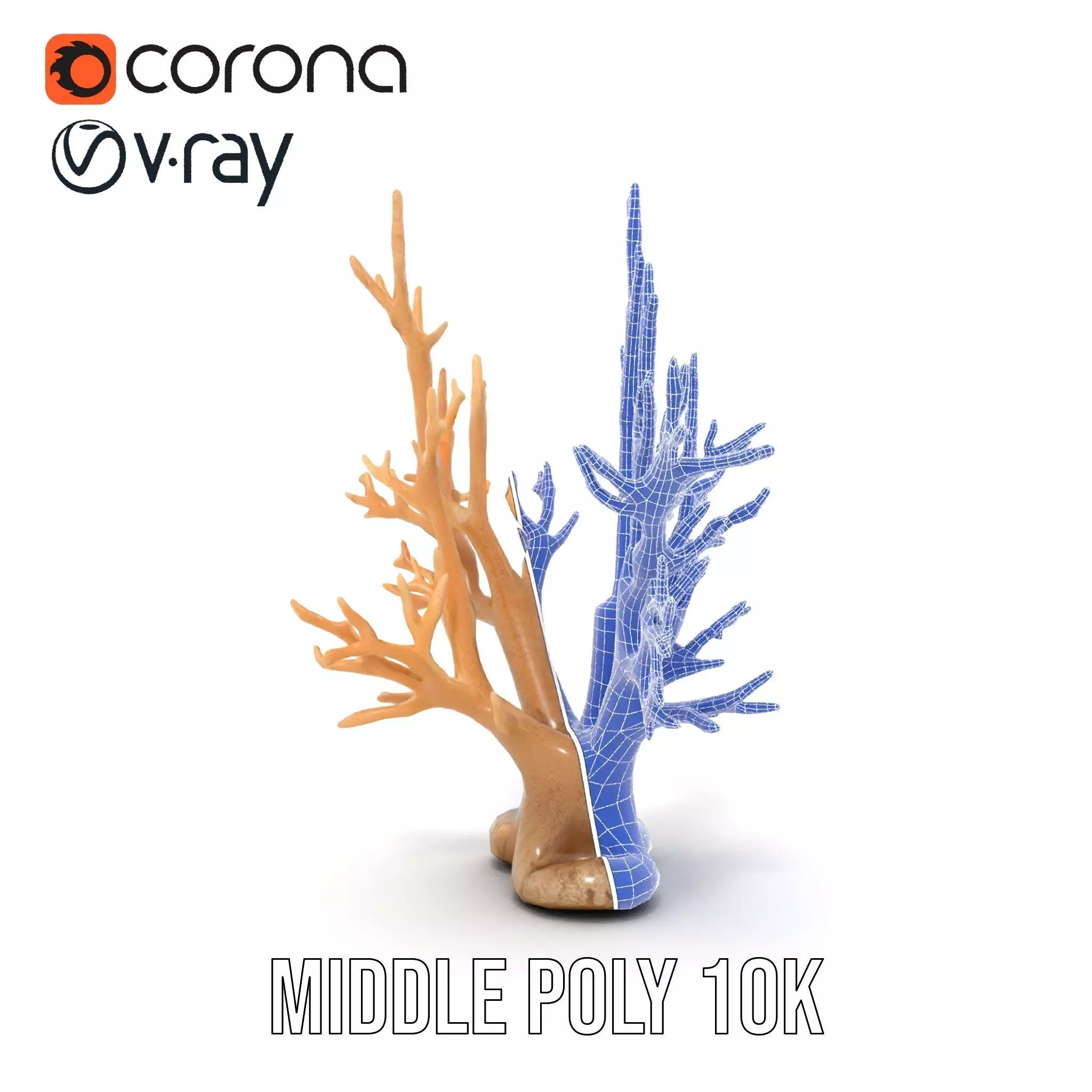 Natural Coral Branch model pack Low-poly 3D model_23
