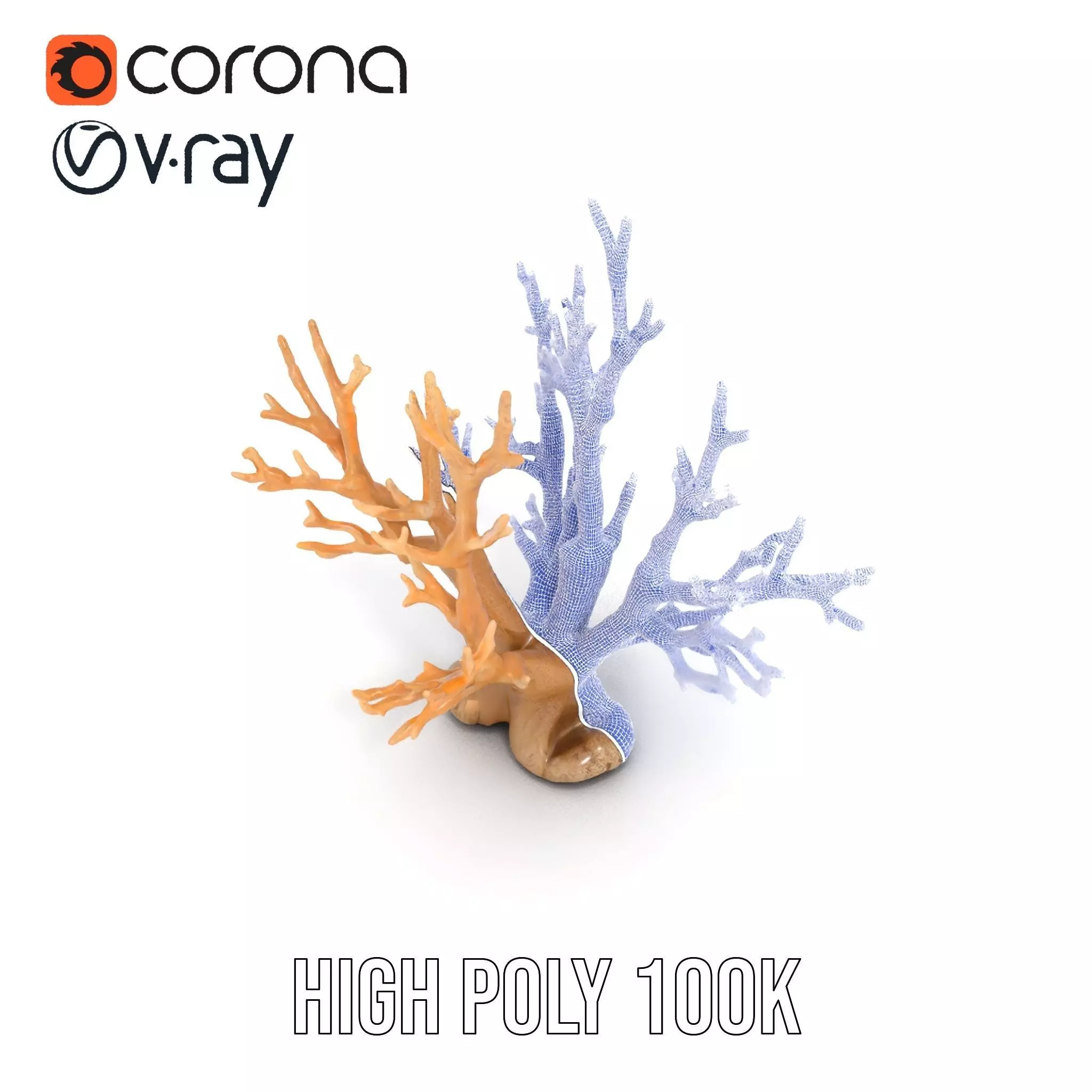 Natural Coral Branch model pack Low-poly 3D model_33