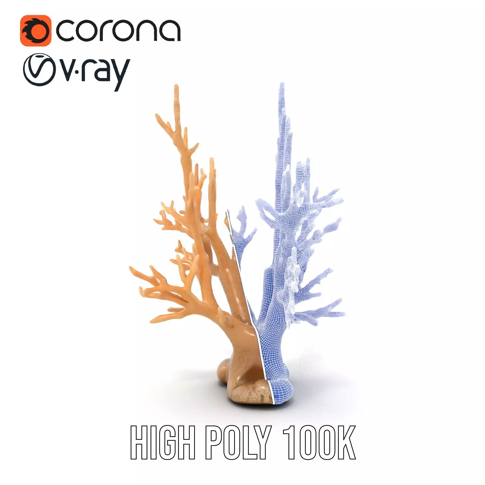 Natural Coral Branch model pack Low-poly 3D model_34