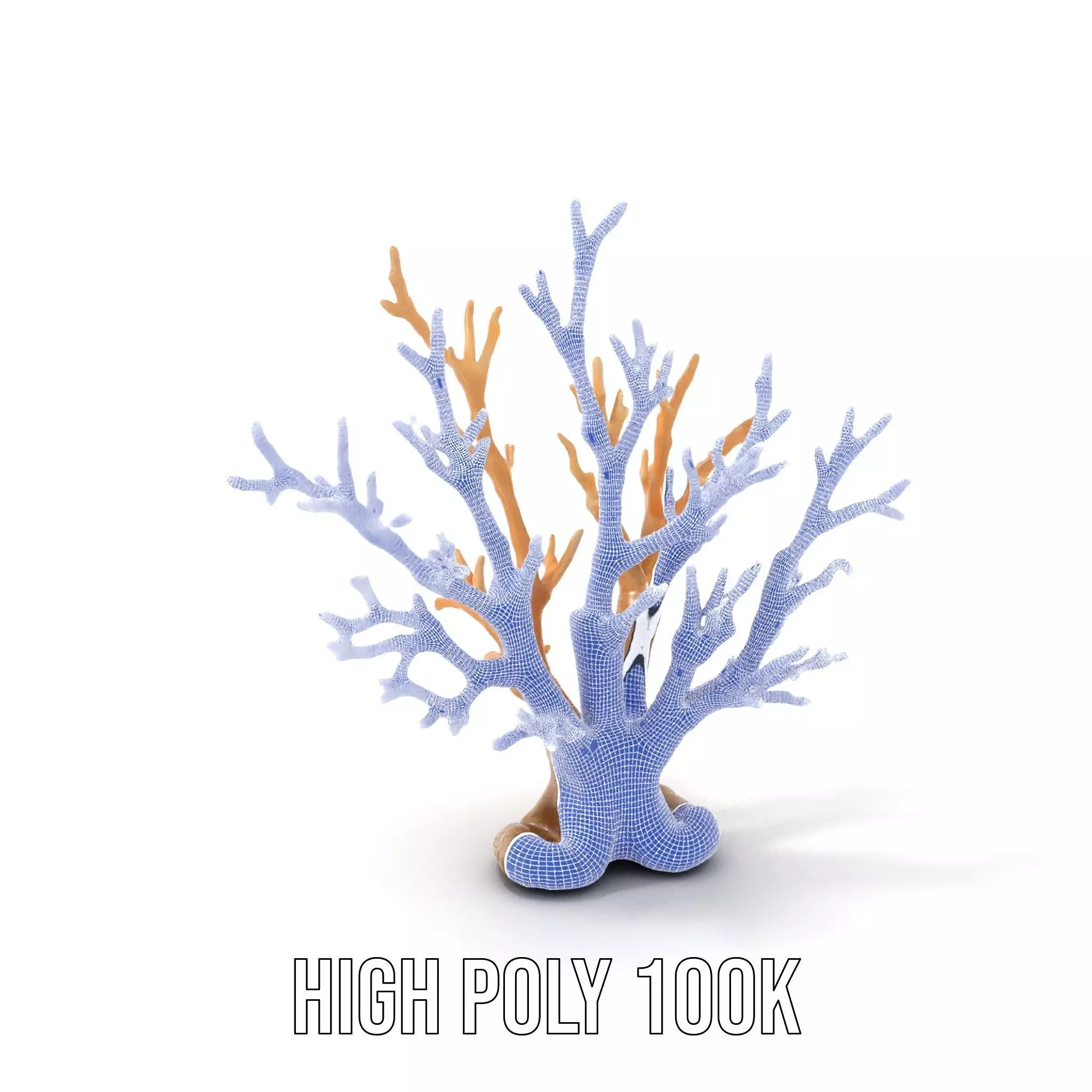 Natural Coral Branch model pack Low-poly 3D model_4