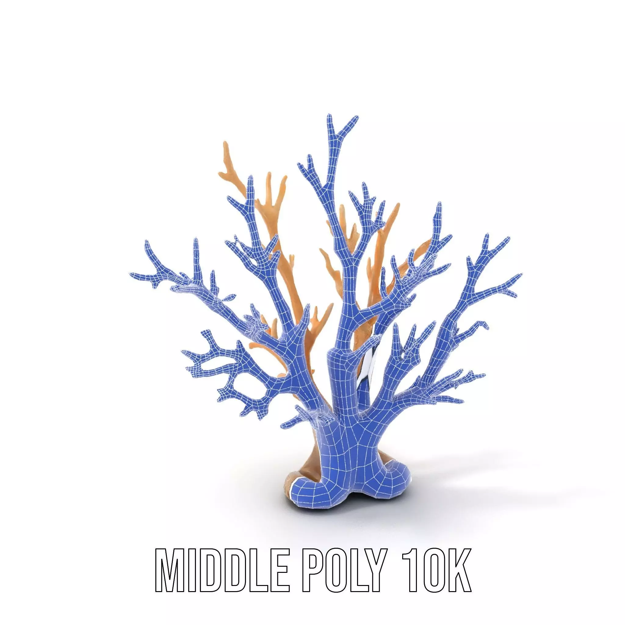 Natural Coral Branch model pack Low-poly 3D model_16