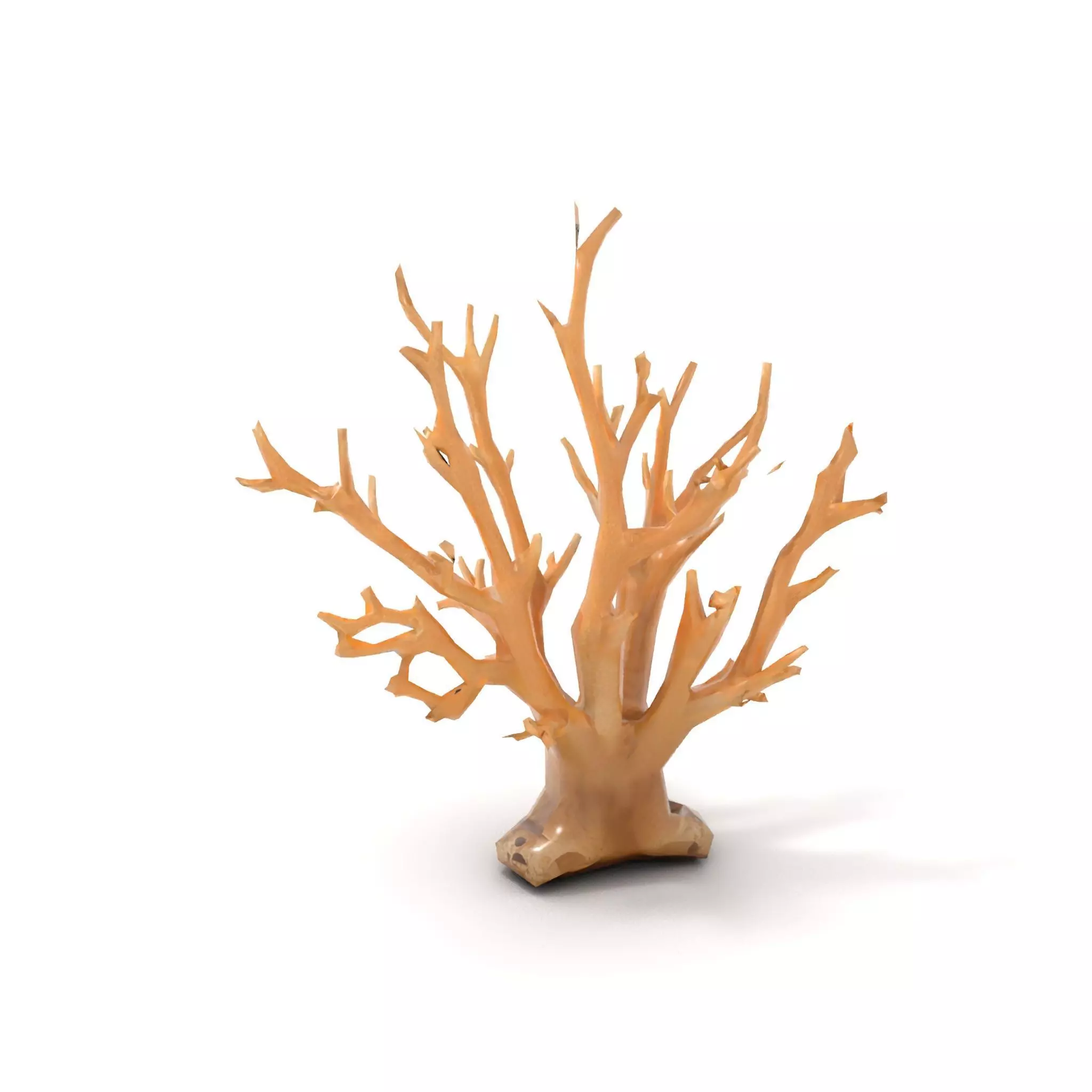 Natural Coral Branch model pack Low-poly 3D model_14