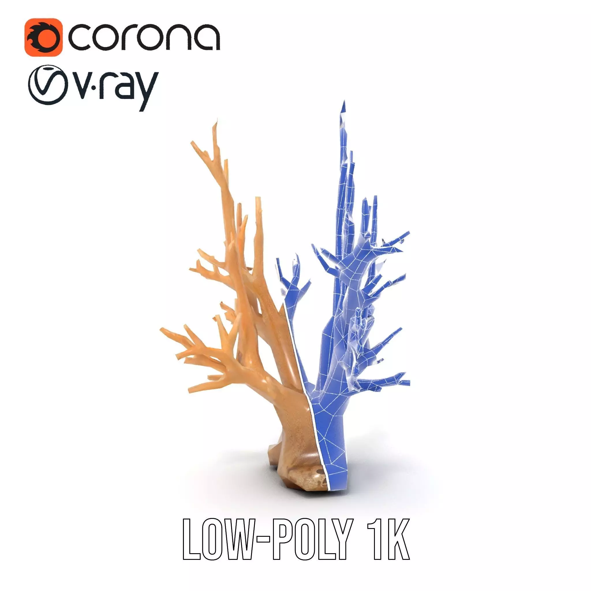 Natural Coral Branch model pack Low-poly 3D model_27