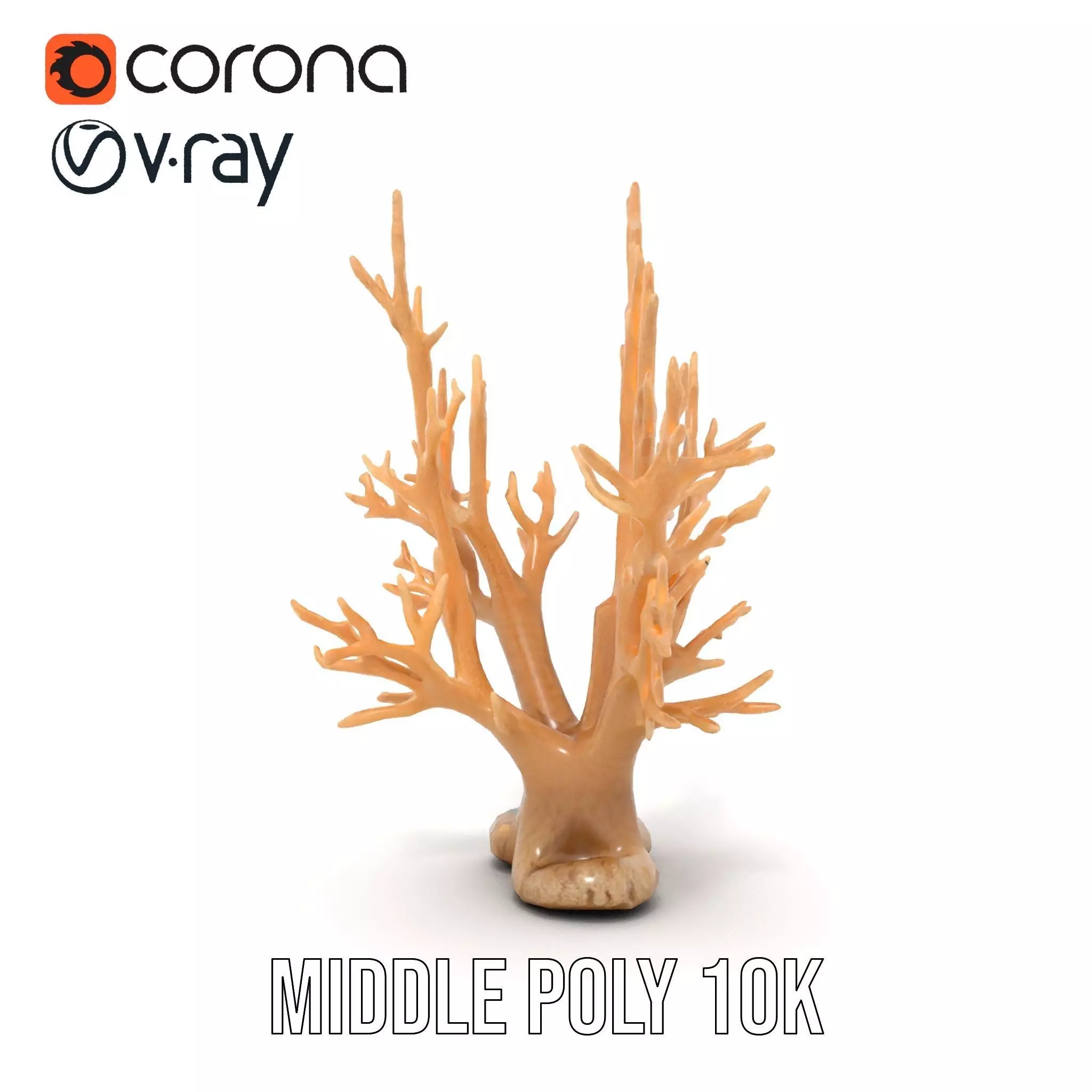 Natural Coral Branch model pack Low-poly 3D model_21