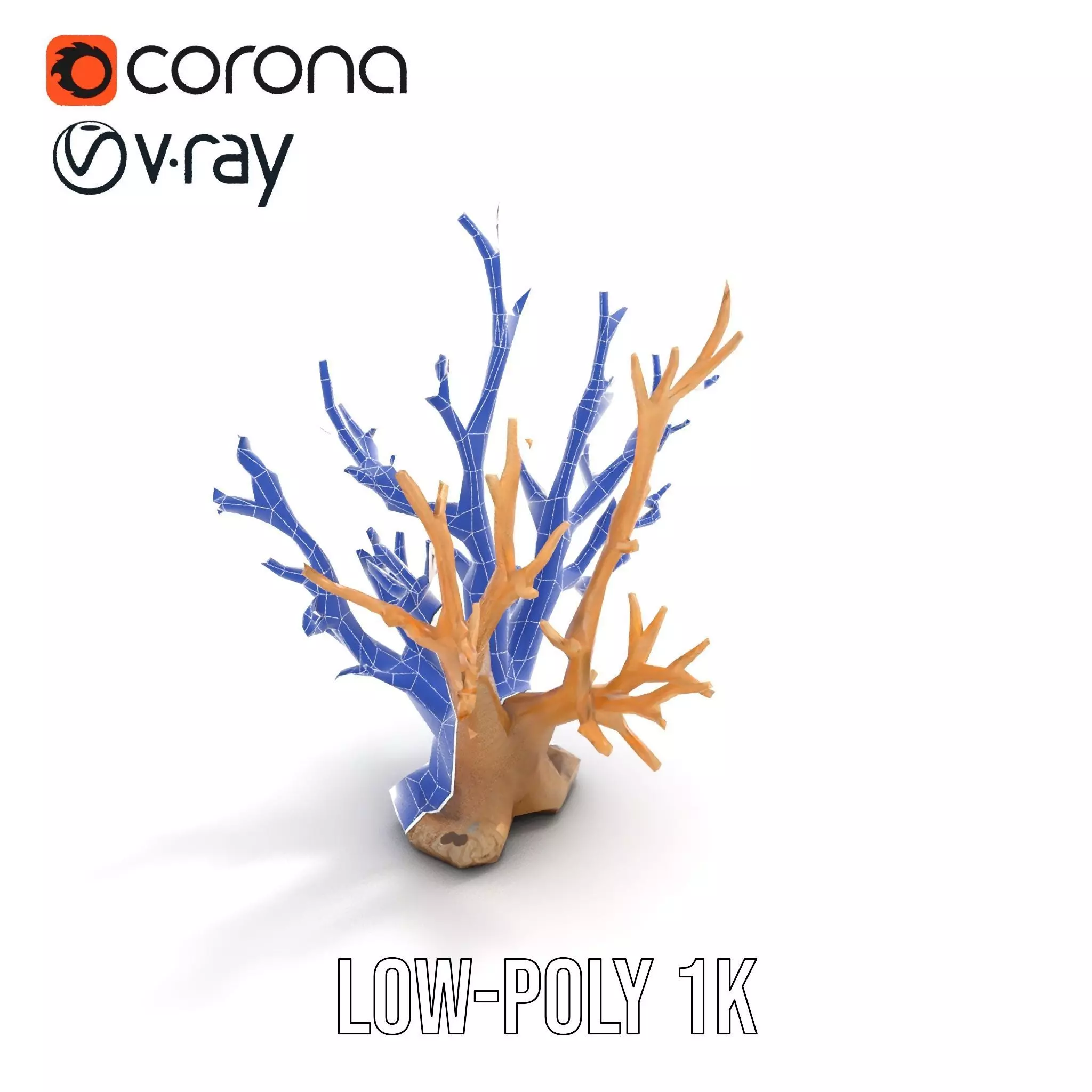 Natural Coral Branch model pack Low-poly 3D model_24