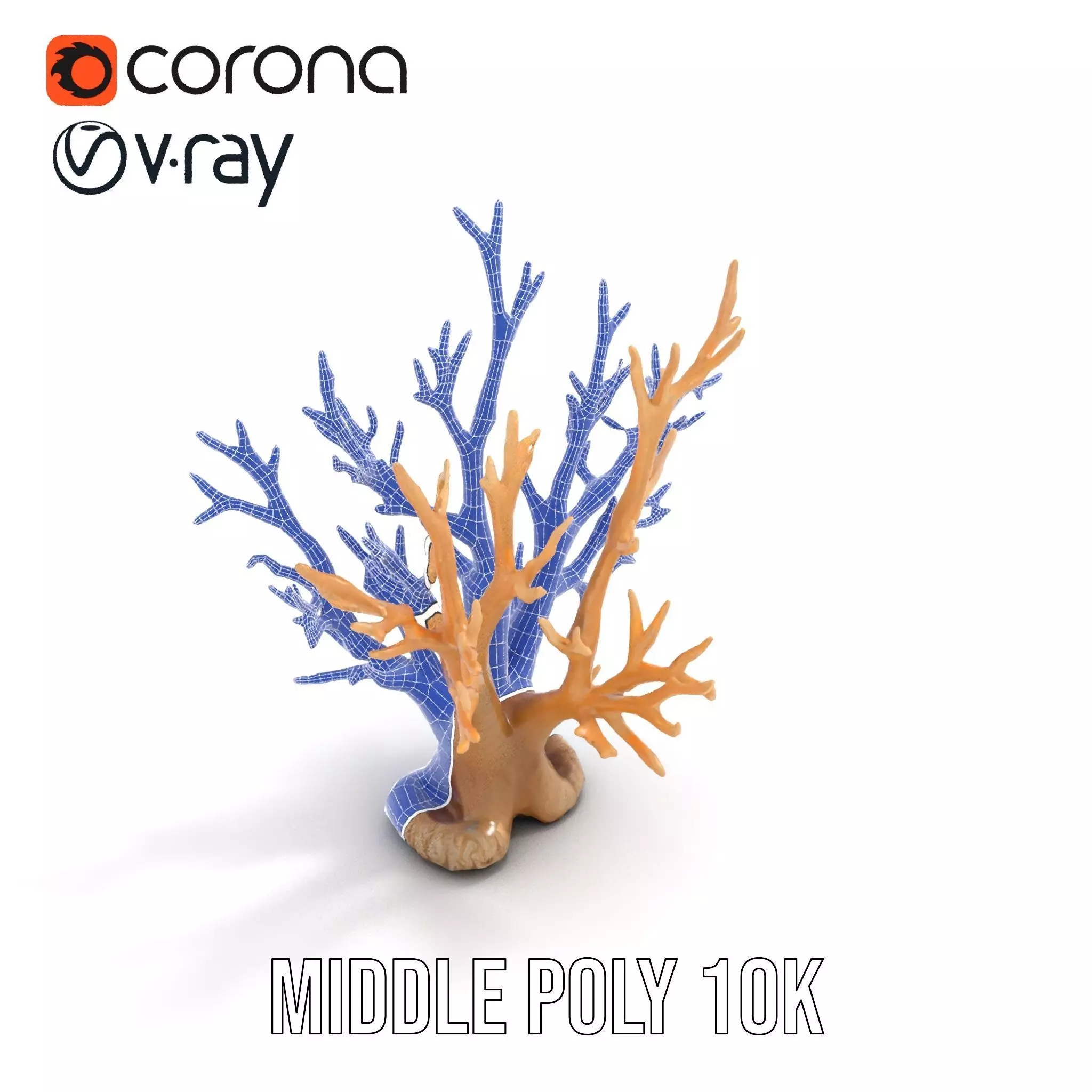 Natural Coral Branch model pack Low-poly 3D model_19