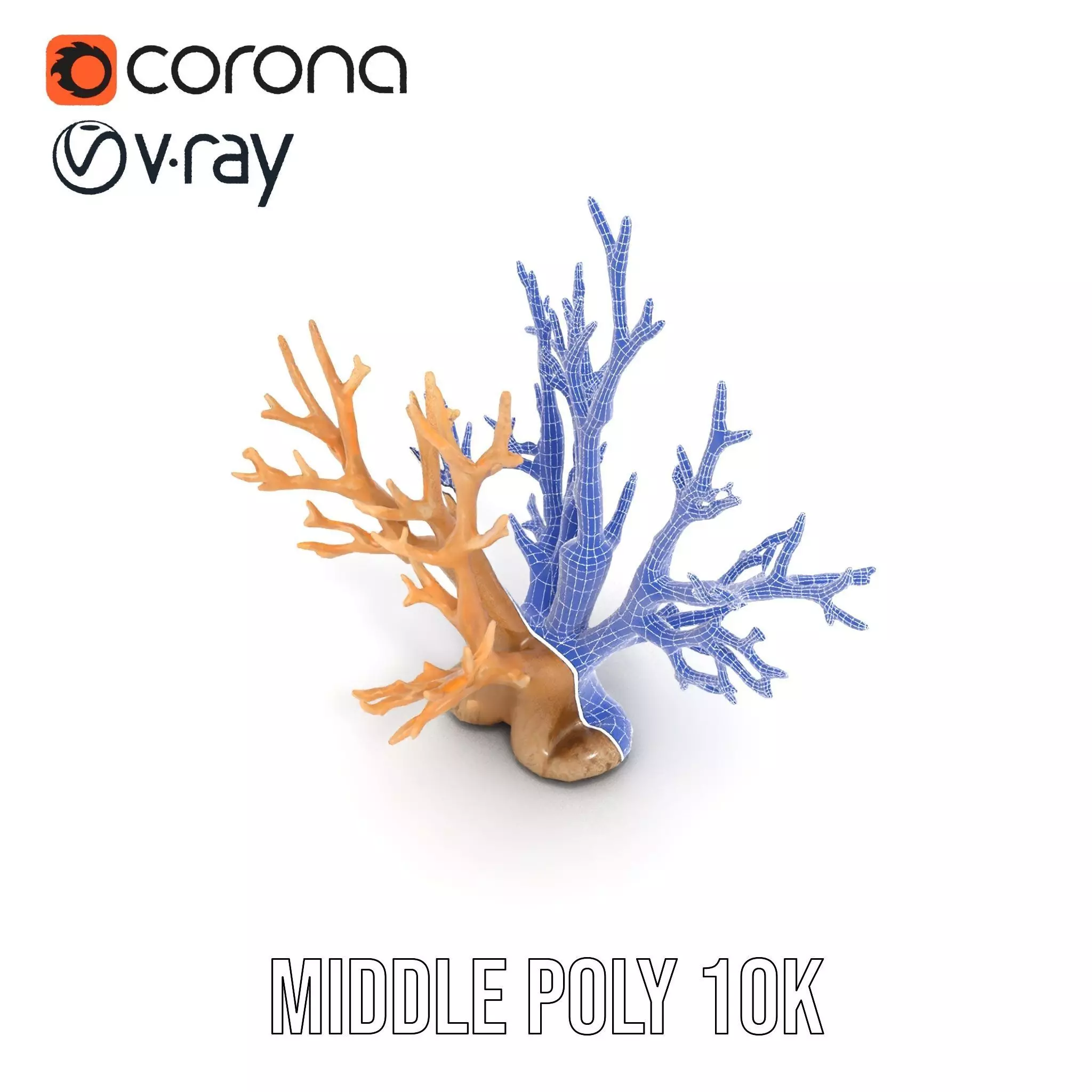 Natural Coral Branch model pack Low-poly 3D model_29