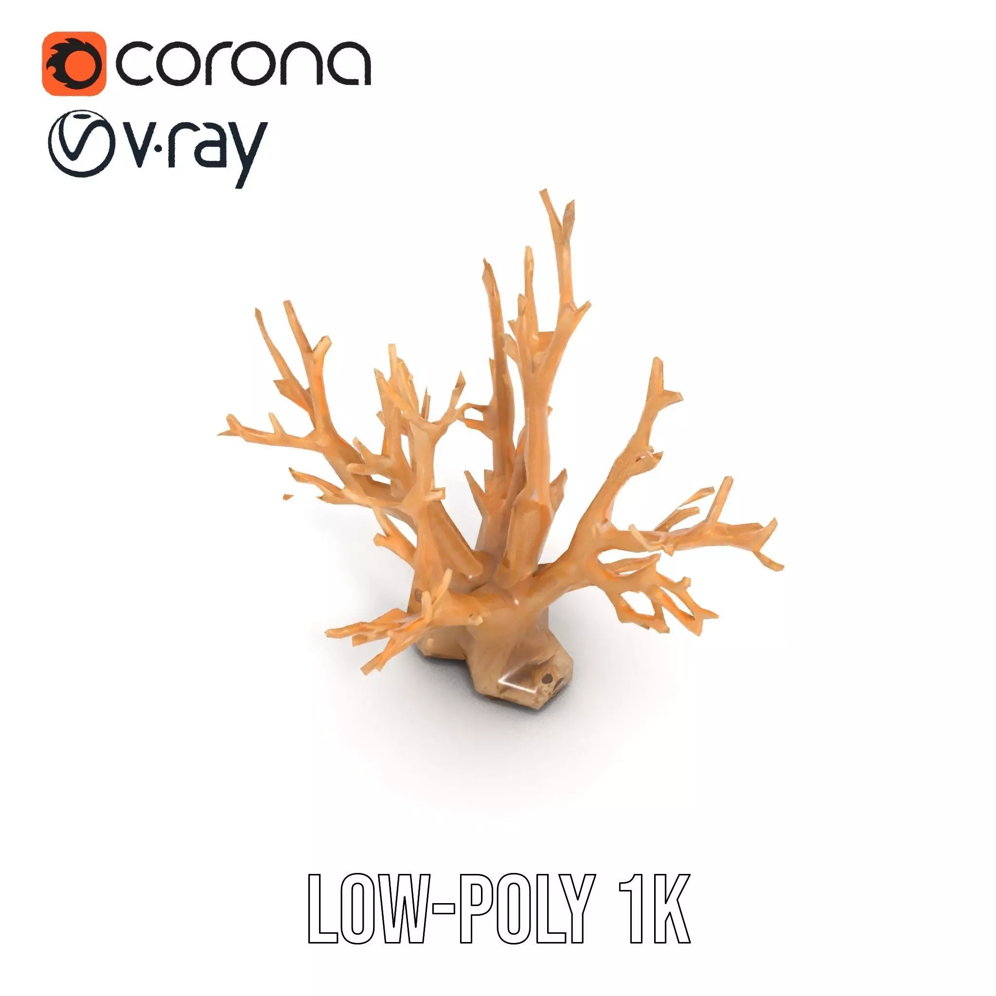 Natural Coral Branch model pack Low-poly 3D model_7