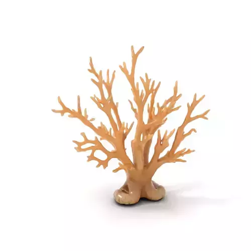 Natural Coral Branch model pack Low-poly 3D model