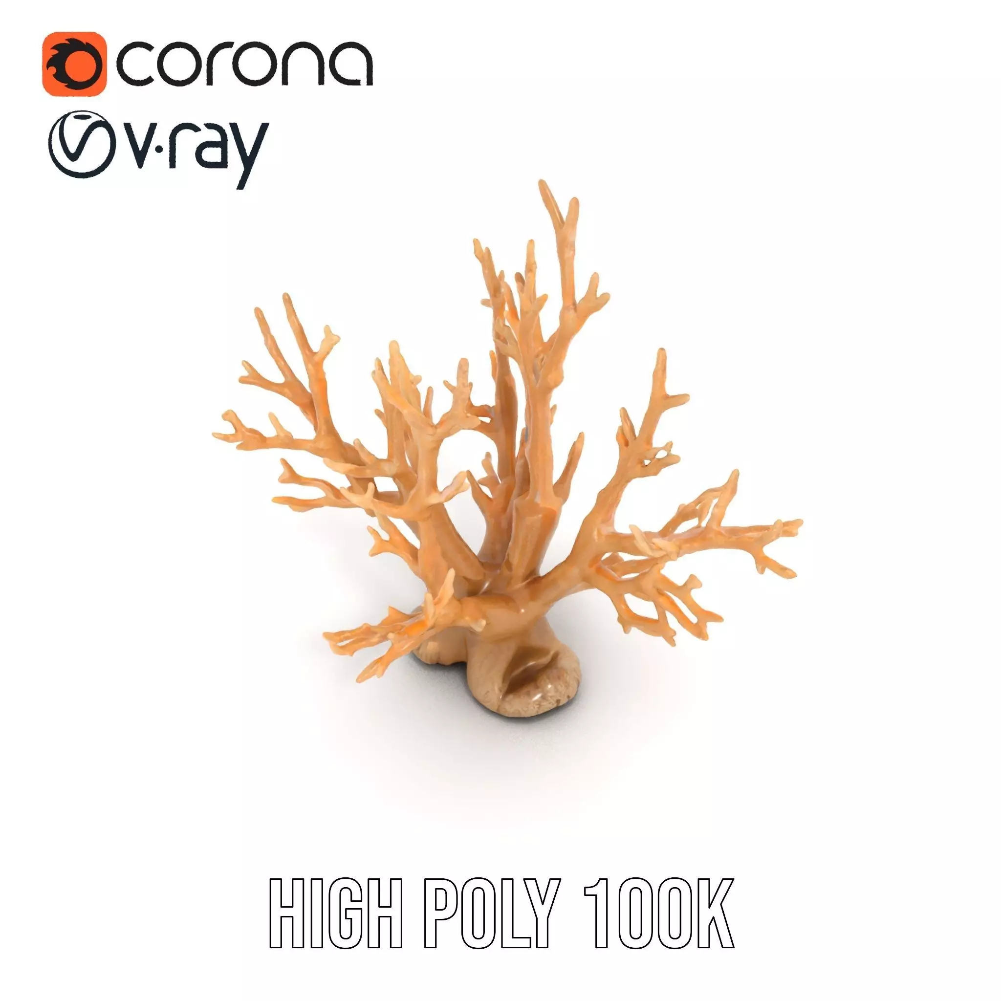 Natural Coral Branch model pack Low-poly 3D model_18