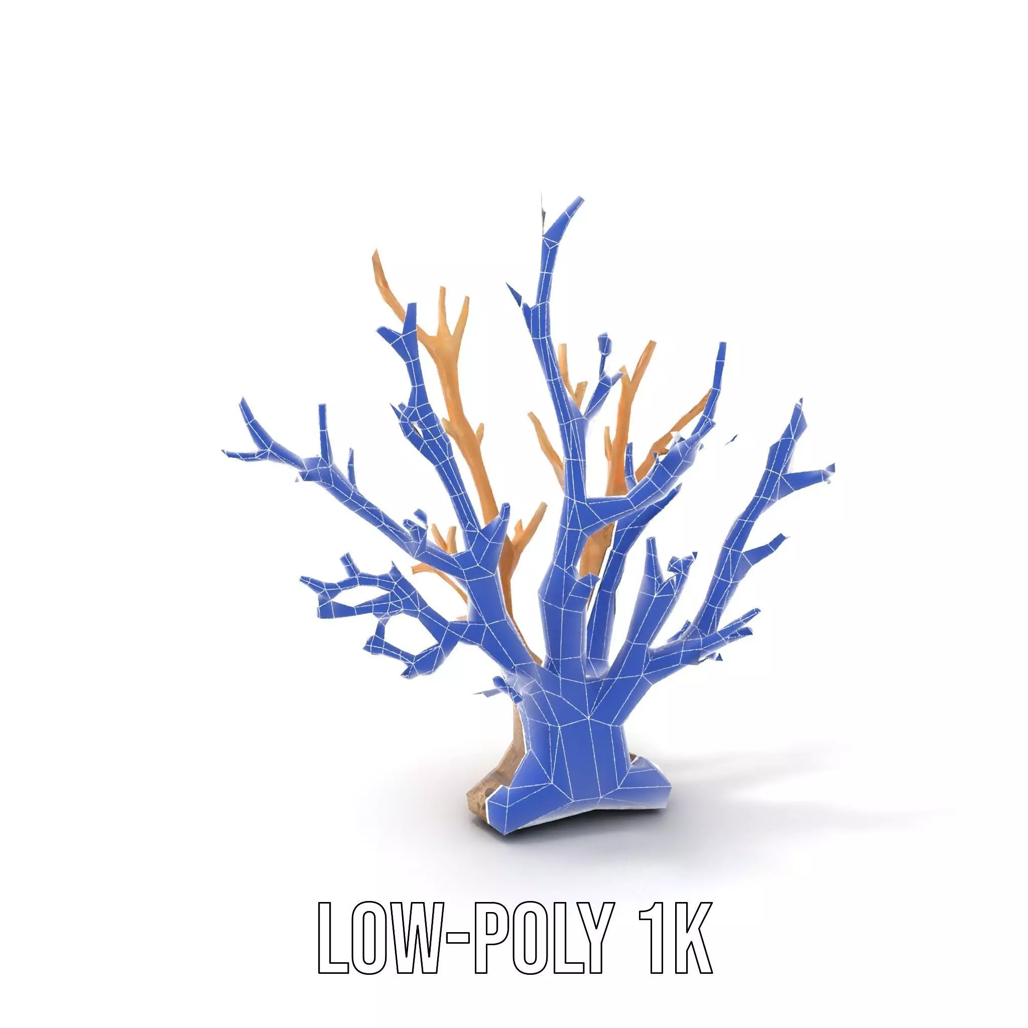 Natural Coral Branch model pack Low-poly 3D model_20