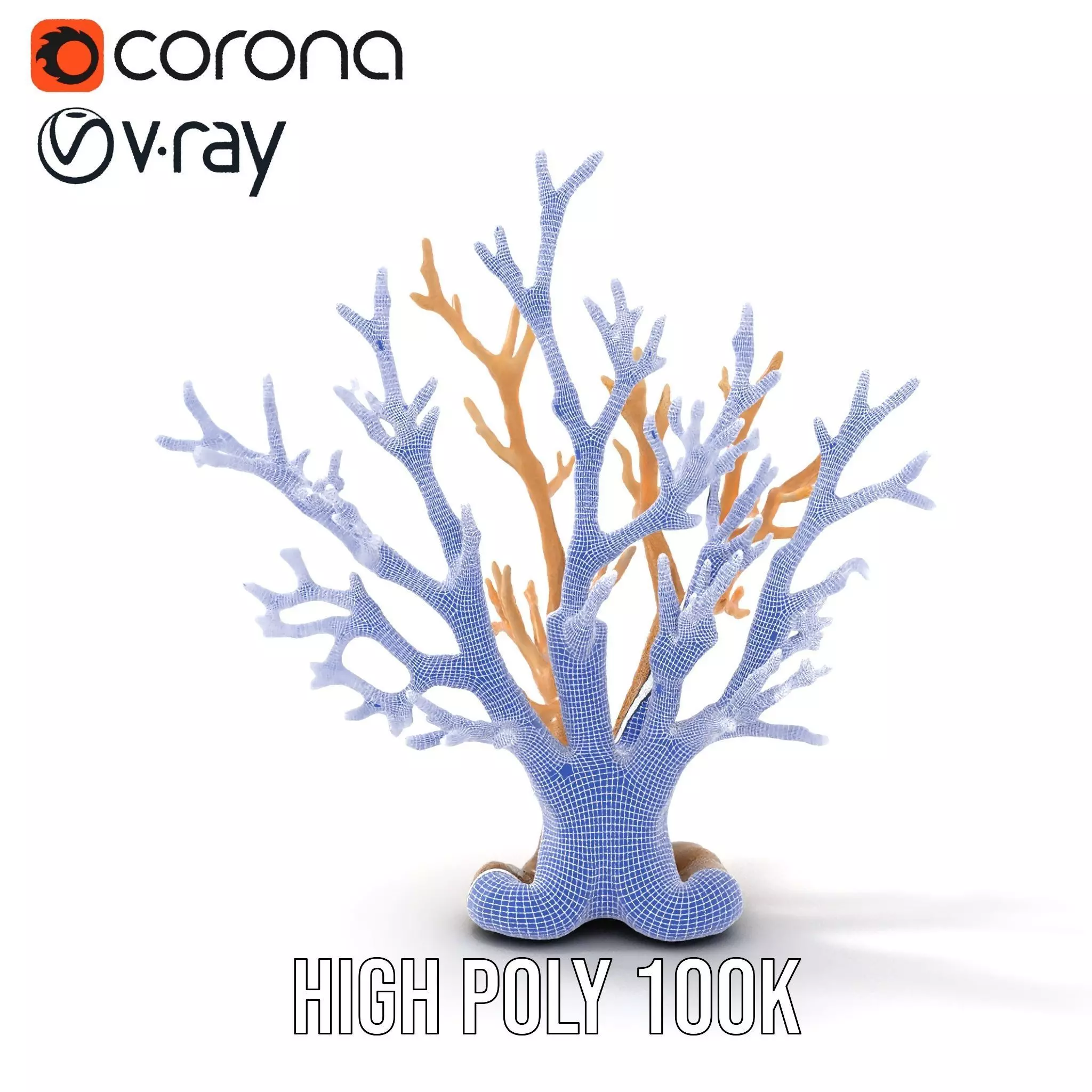 Natural Coral Branch model pack Low-poly 3D model_31