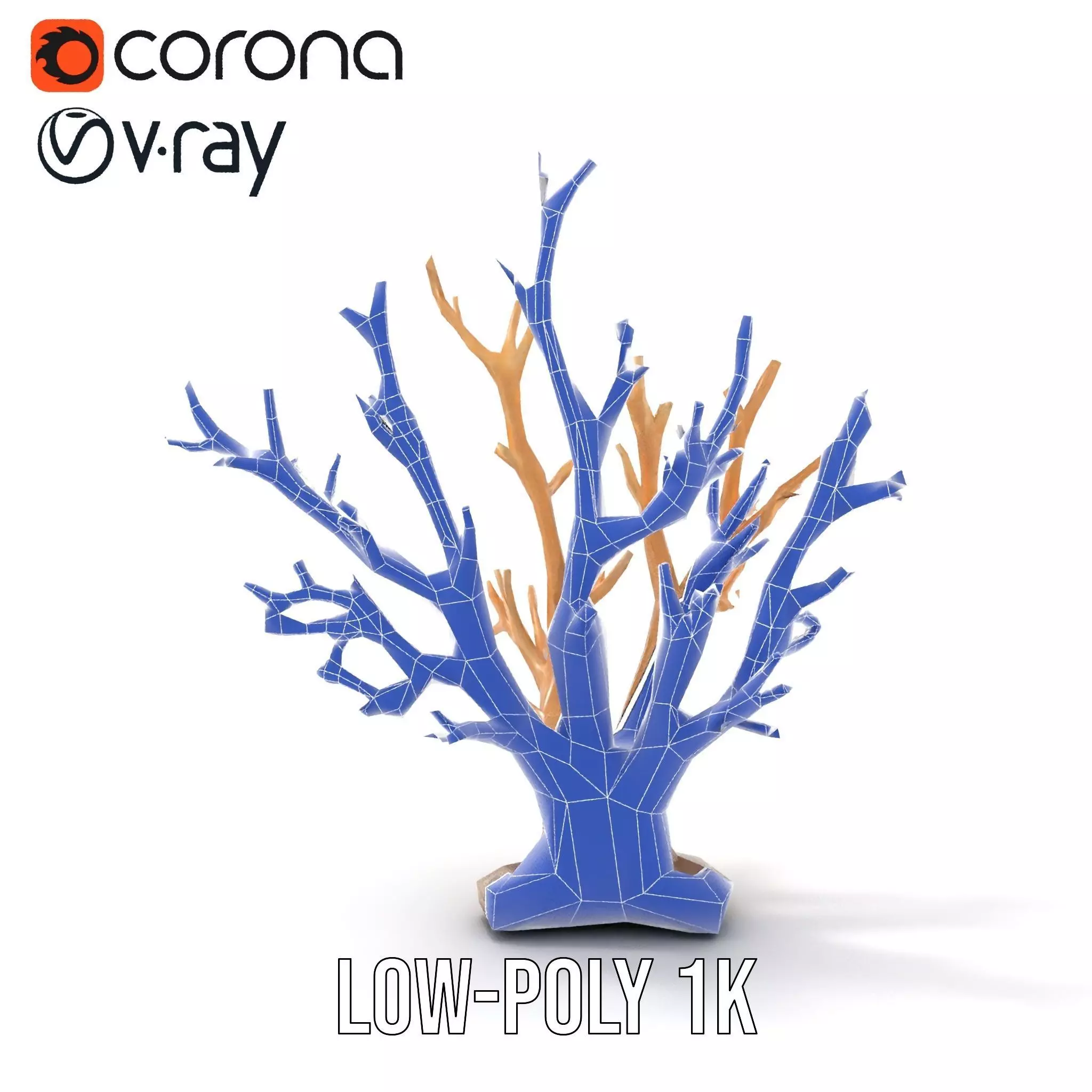 Natural Coral Branch model pack Low-poly 3D model_22