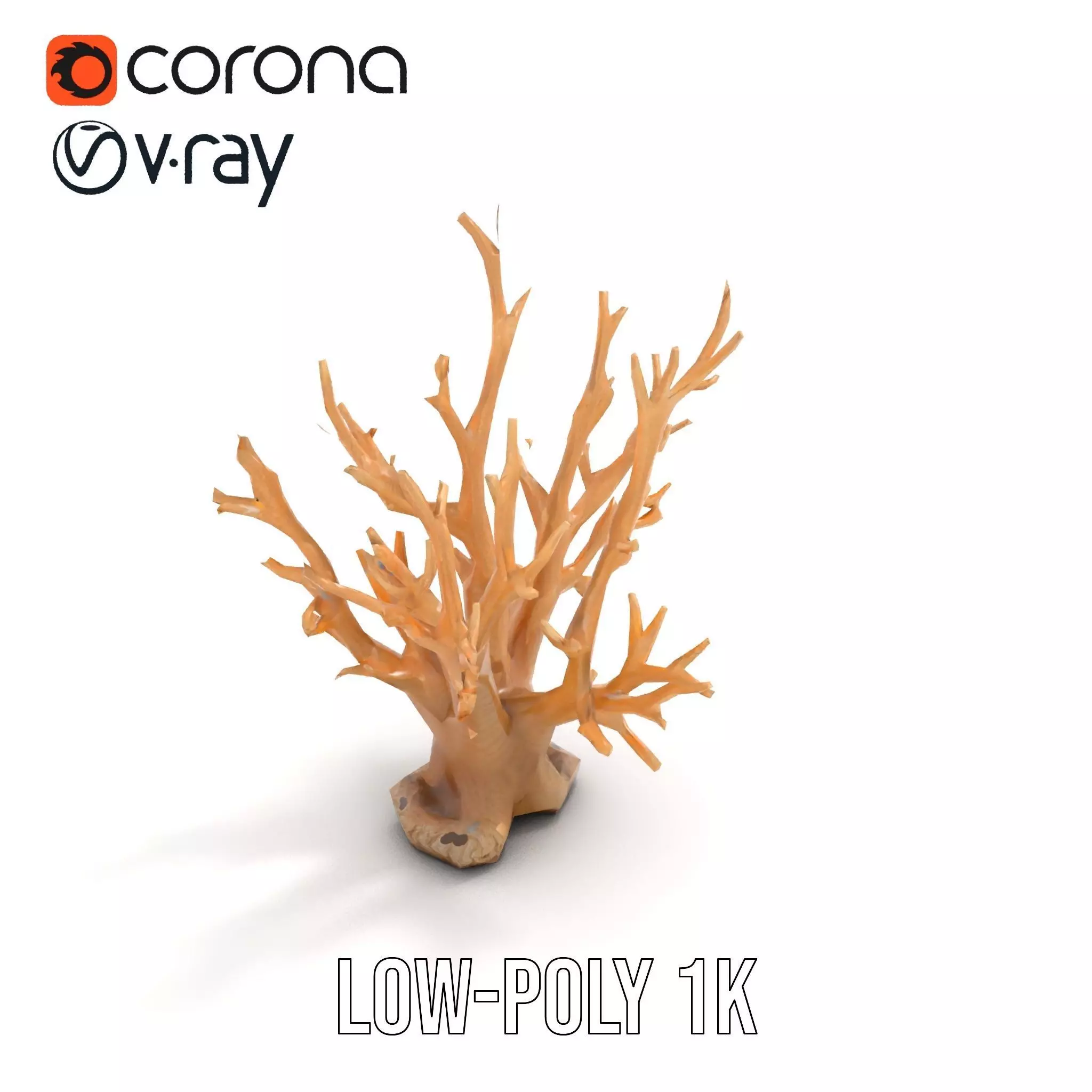 Natural Coral Branch model pack Low-poly 3D model_17