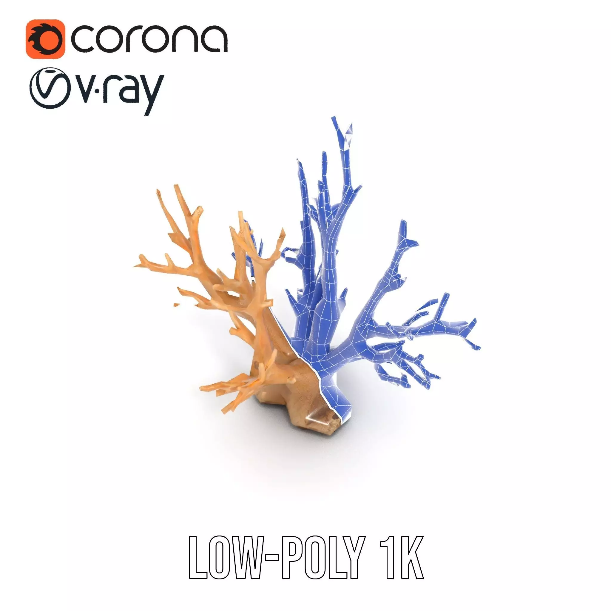 Natural Coral Branch model pack Low-poly 3D model_30