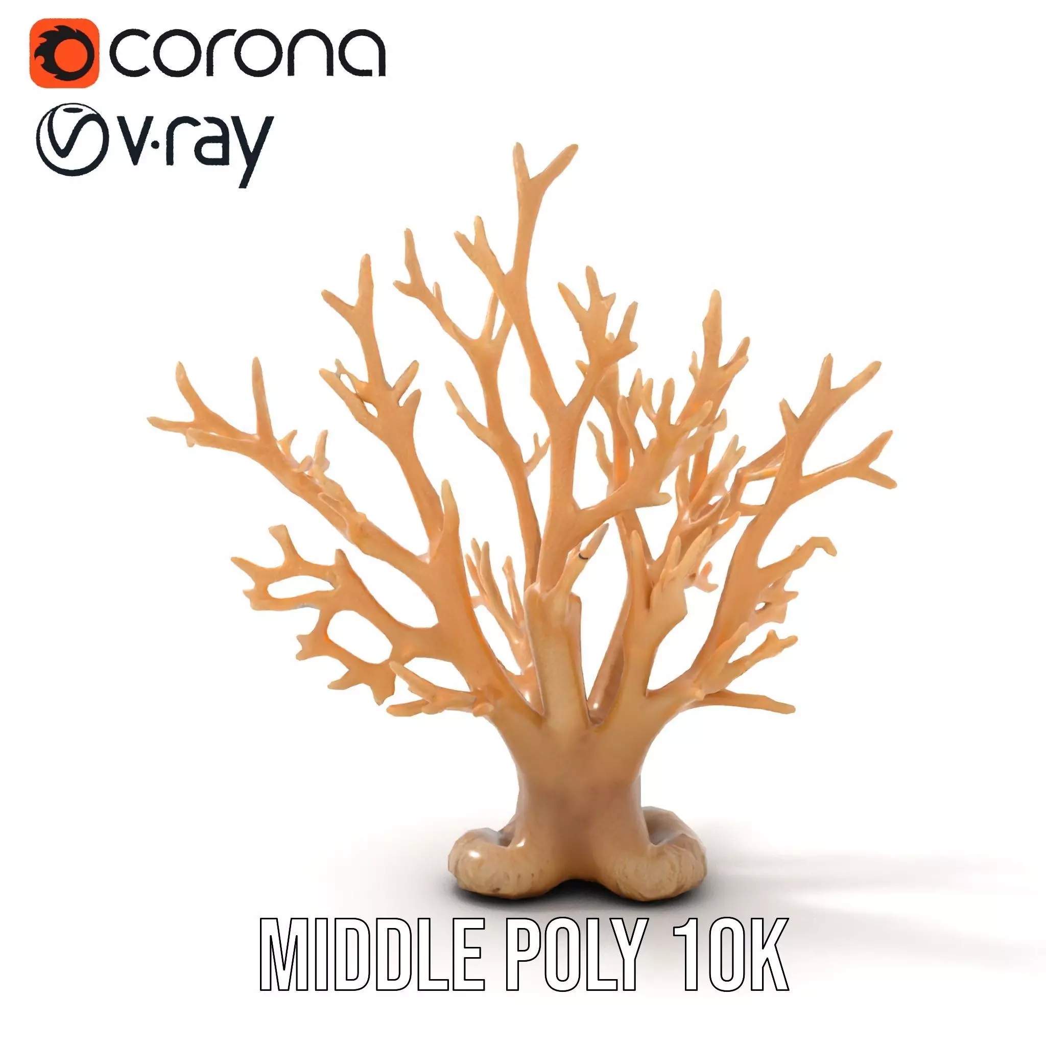 Natural Coral Branch model pack Low-poly 3D model_6