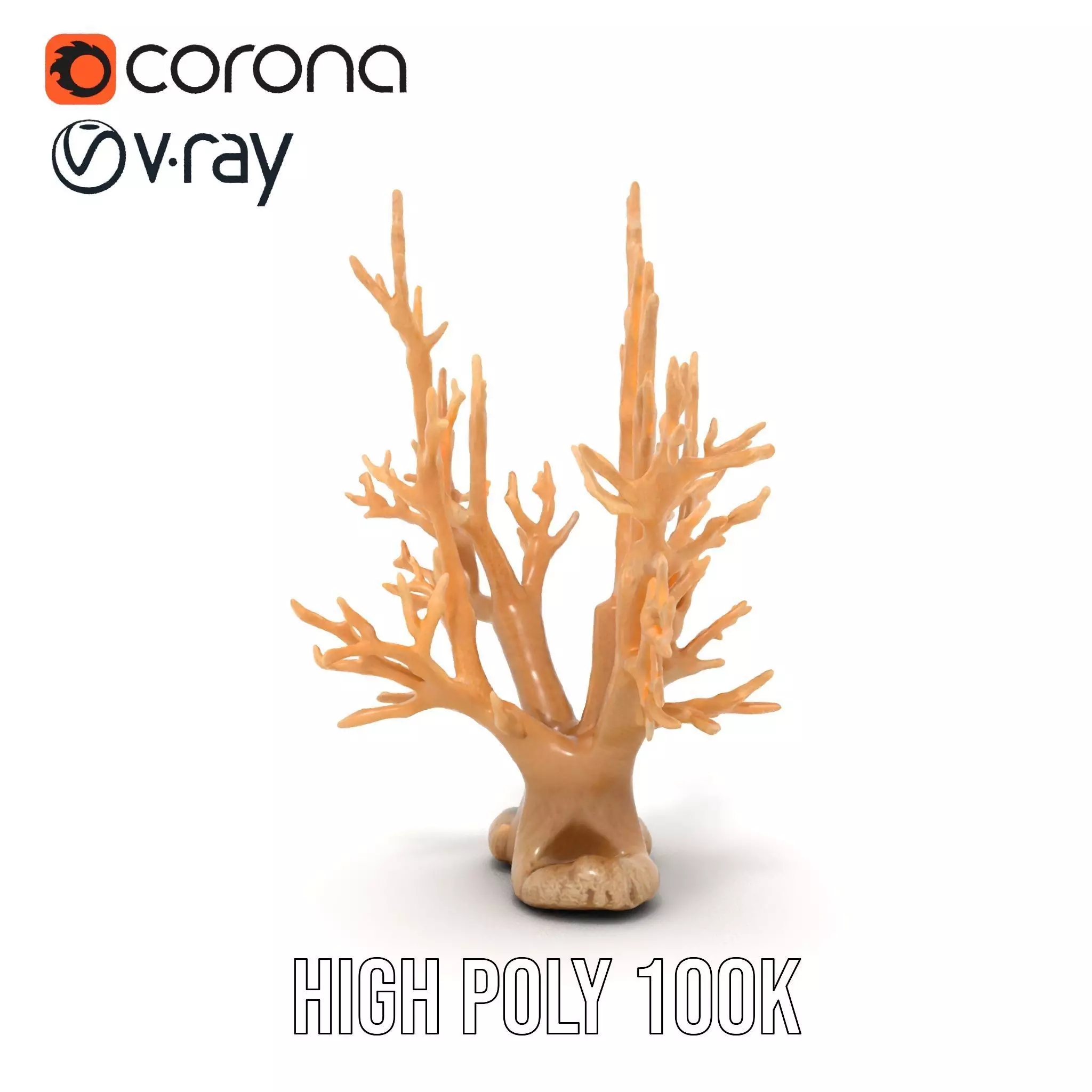 Natural Coral Branch model pack Low-poly 3D model_28